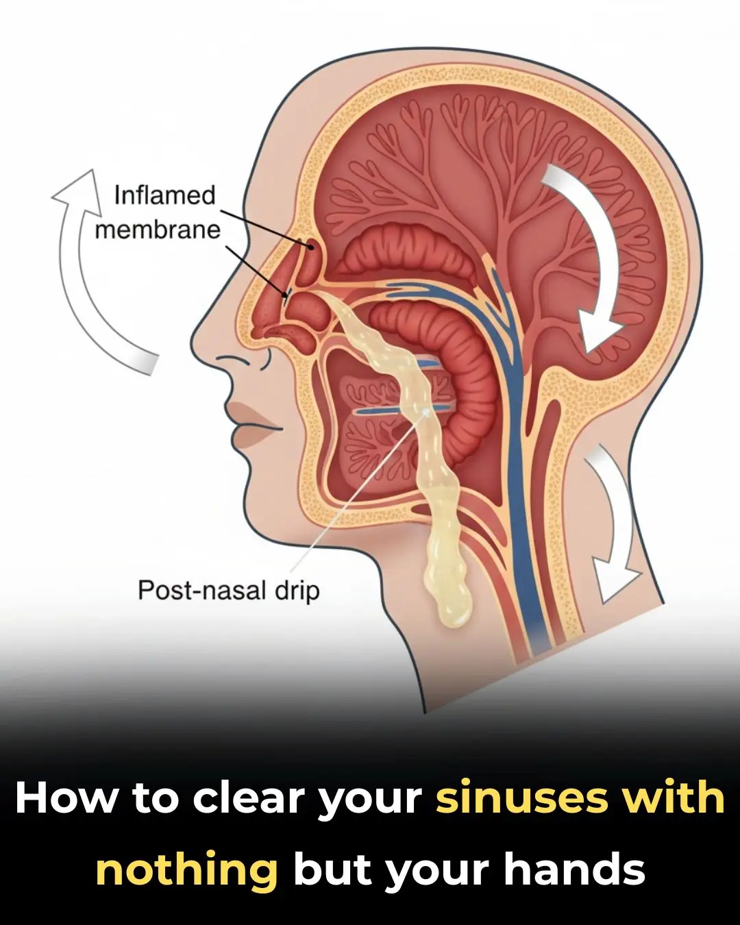 How To Clear Your Sinuses