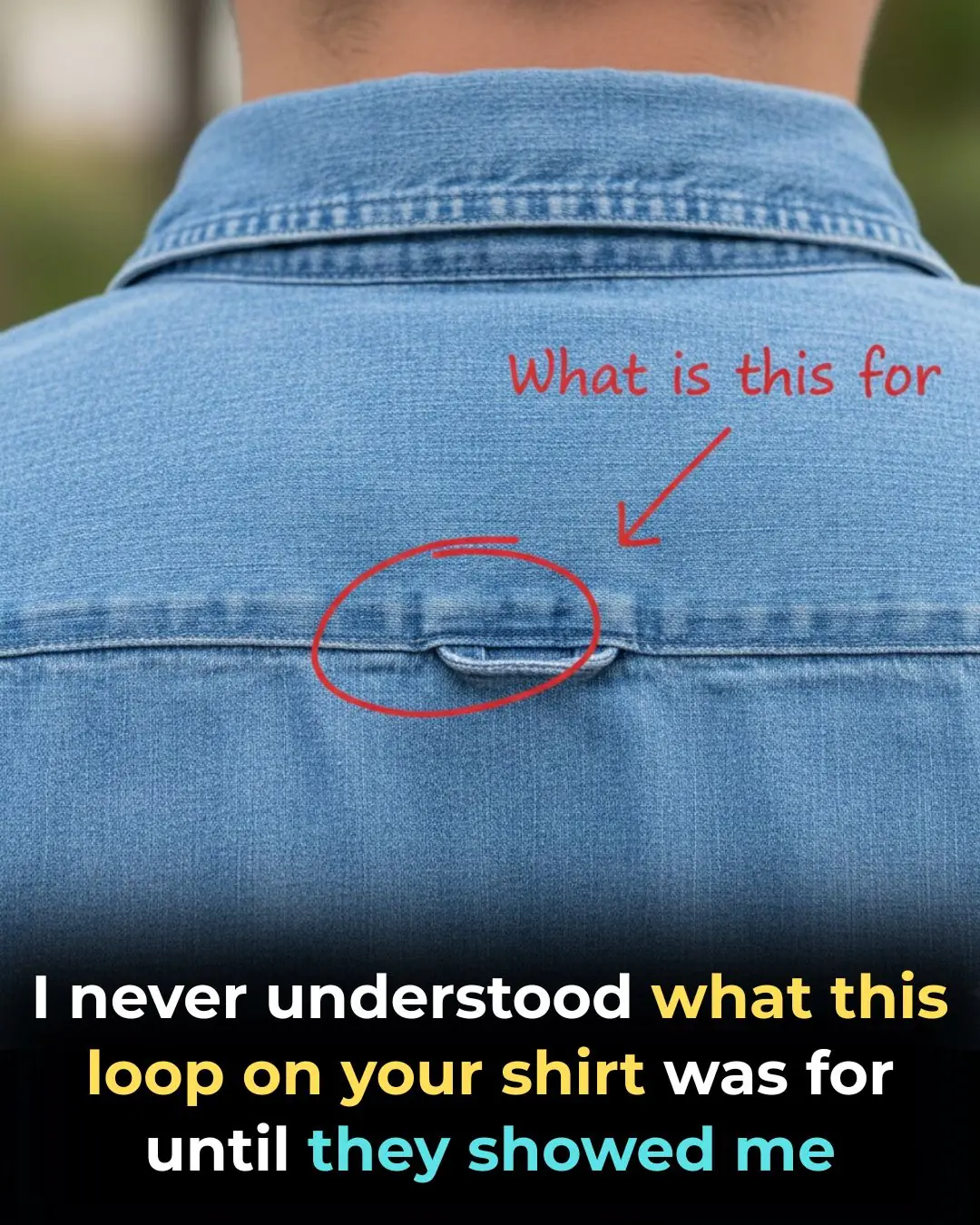Why Do Button-Down Shirts Have Loops On the Back