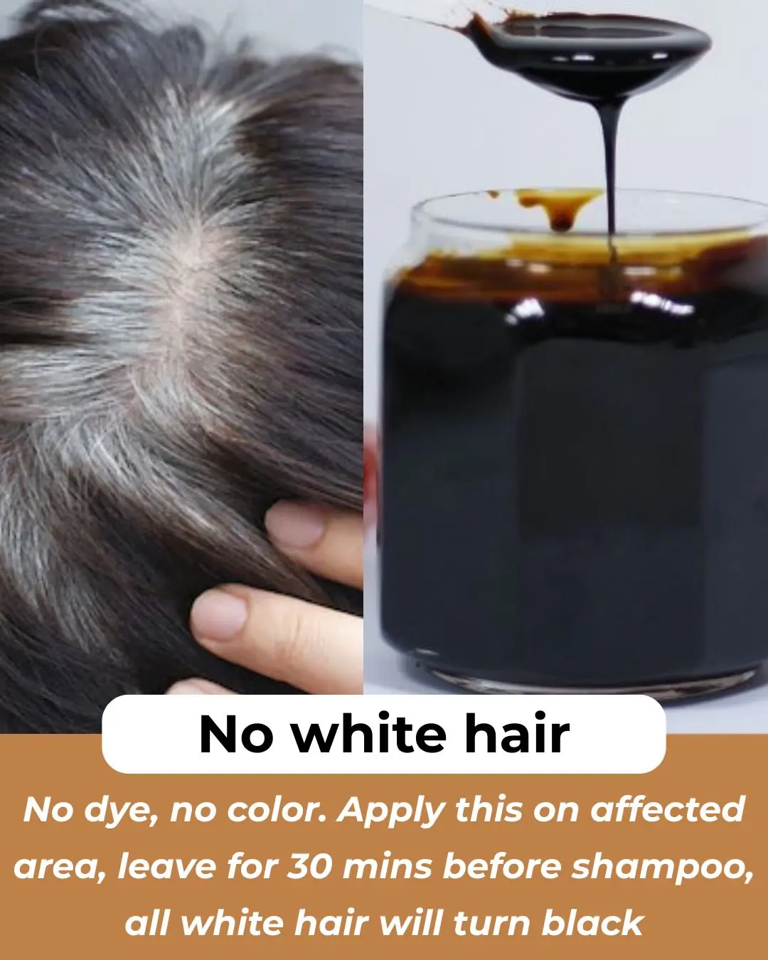 Roasted onion peel treatment for grey hair