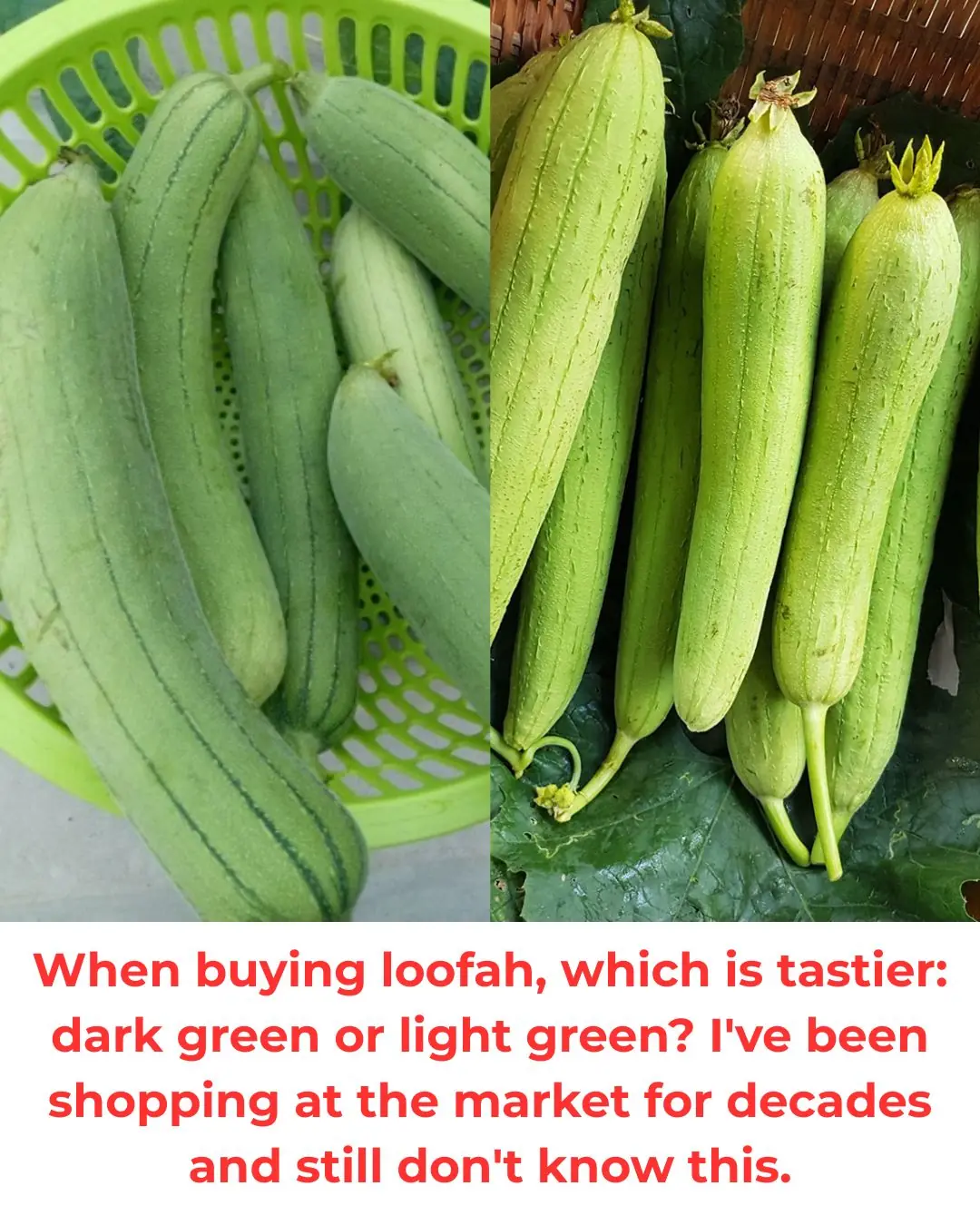 When buying loofah, which is tastier: dark green or light green? I've been shopping at the market for decades and still don't know this.