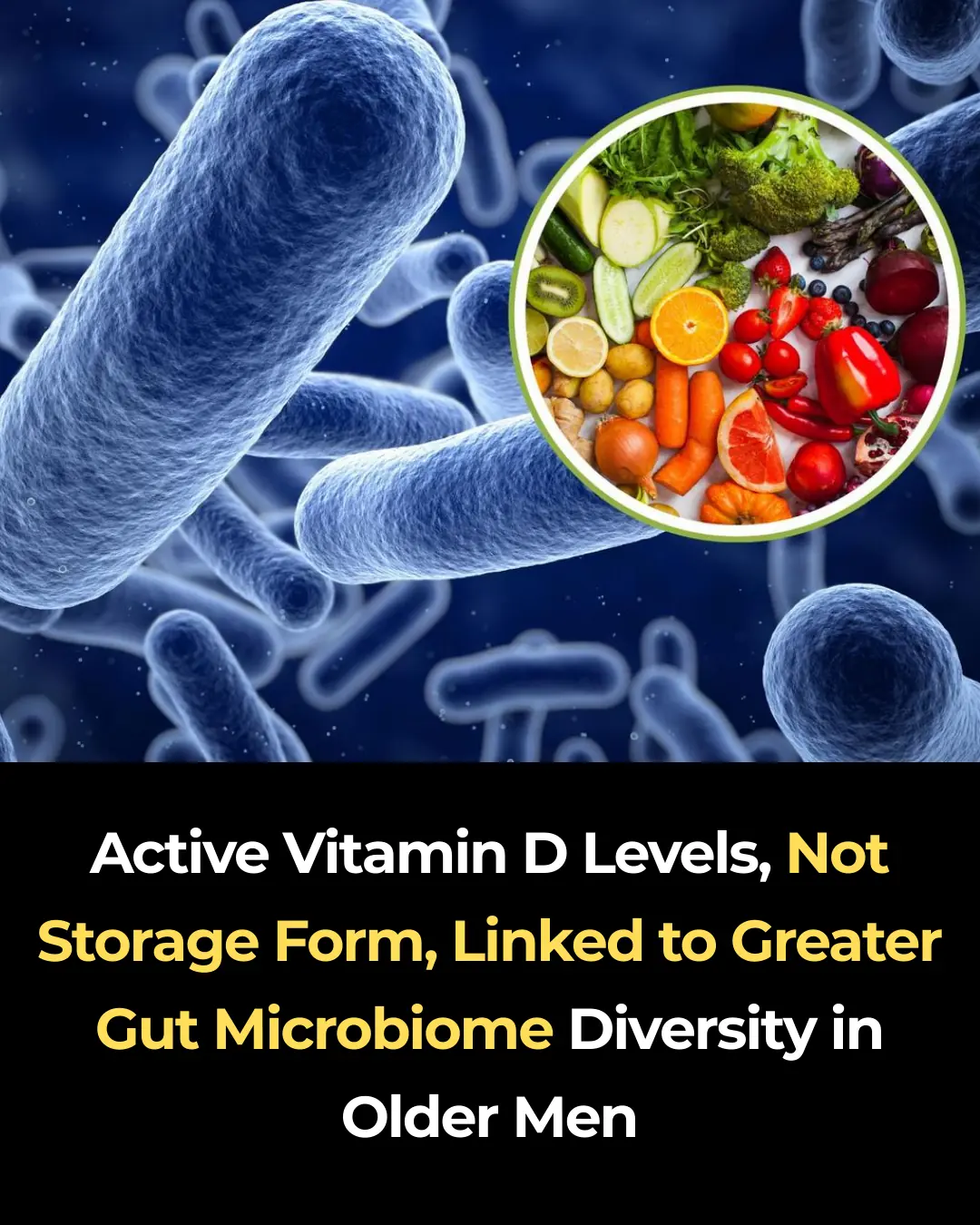Active Vitamin D Levels, Not Storage Form, Linked to Greater Gut Microbiome Diversity in Older Men