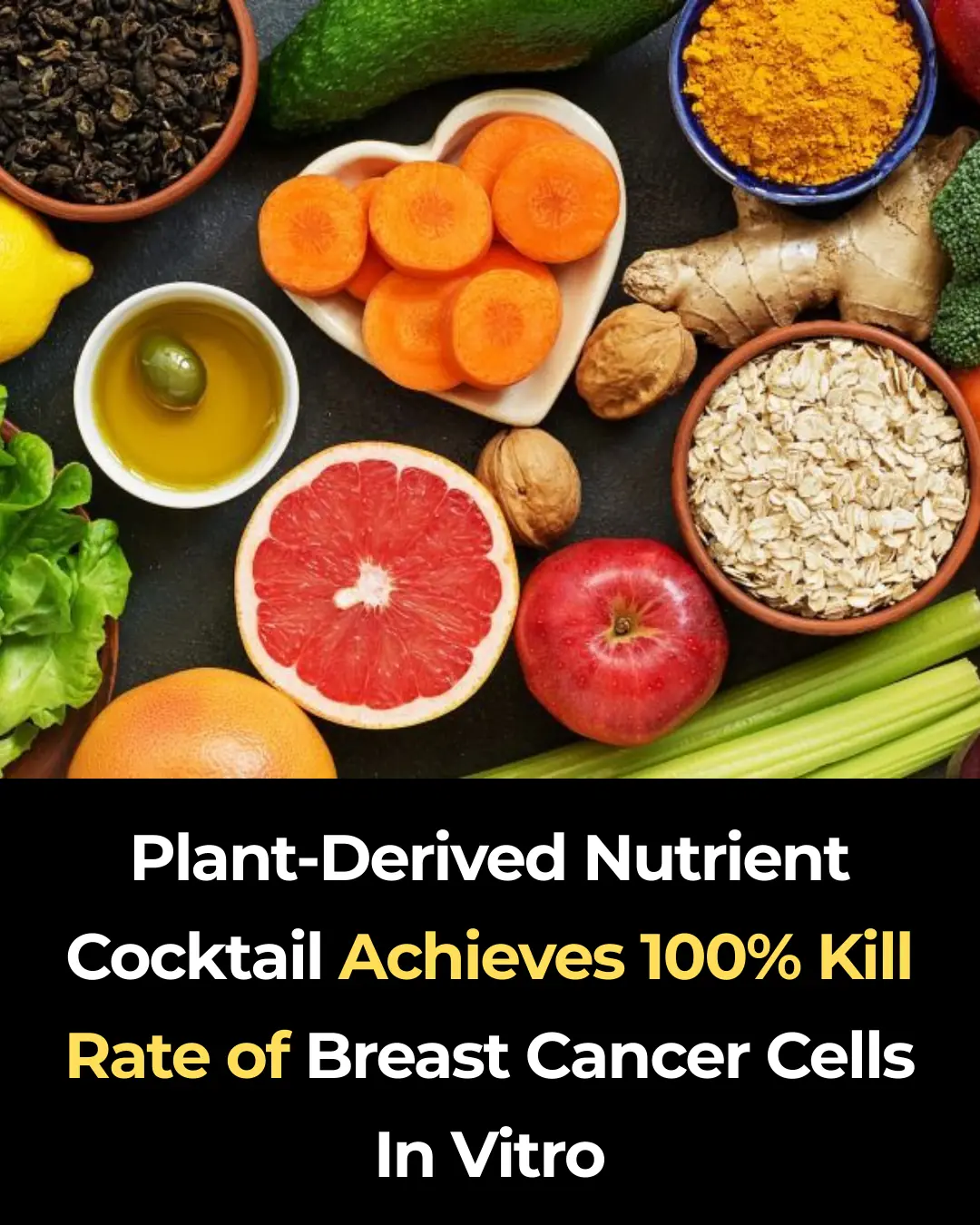 Plant-Derived Nutrient Cocktail Achieves 100% Kill Rate of Breast Cancer Cells In Vitro