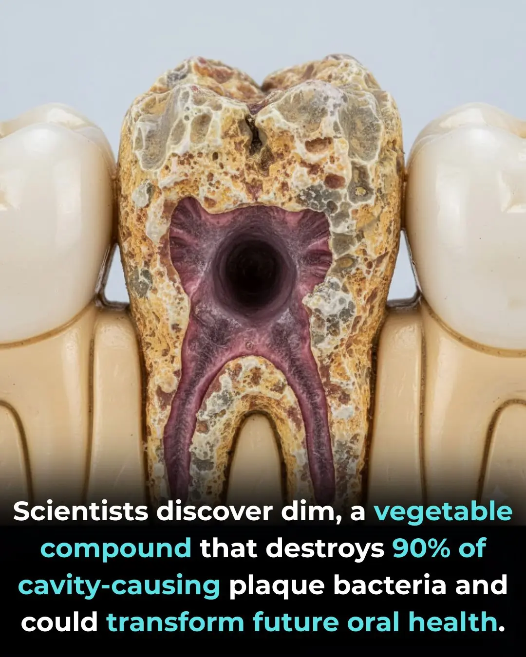 DIM: The Natural, Vegetable-Derived Solution Revolutionizing Plaque Control and Dental Care