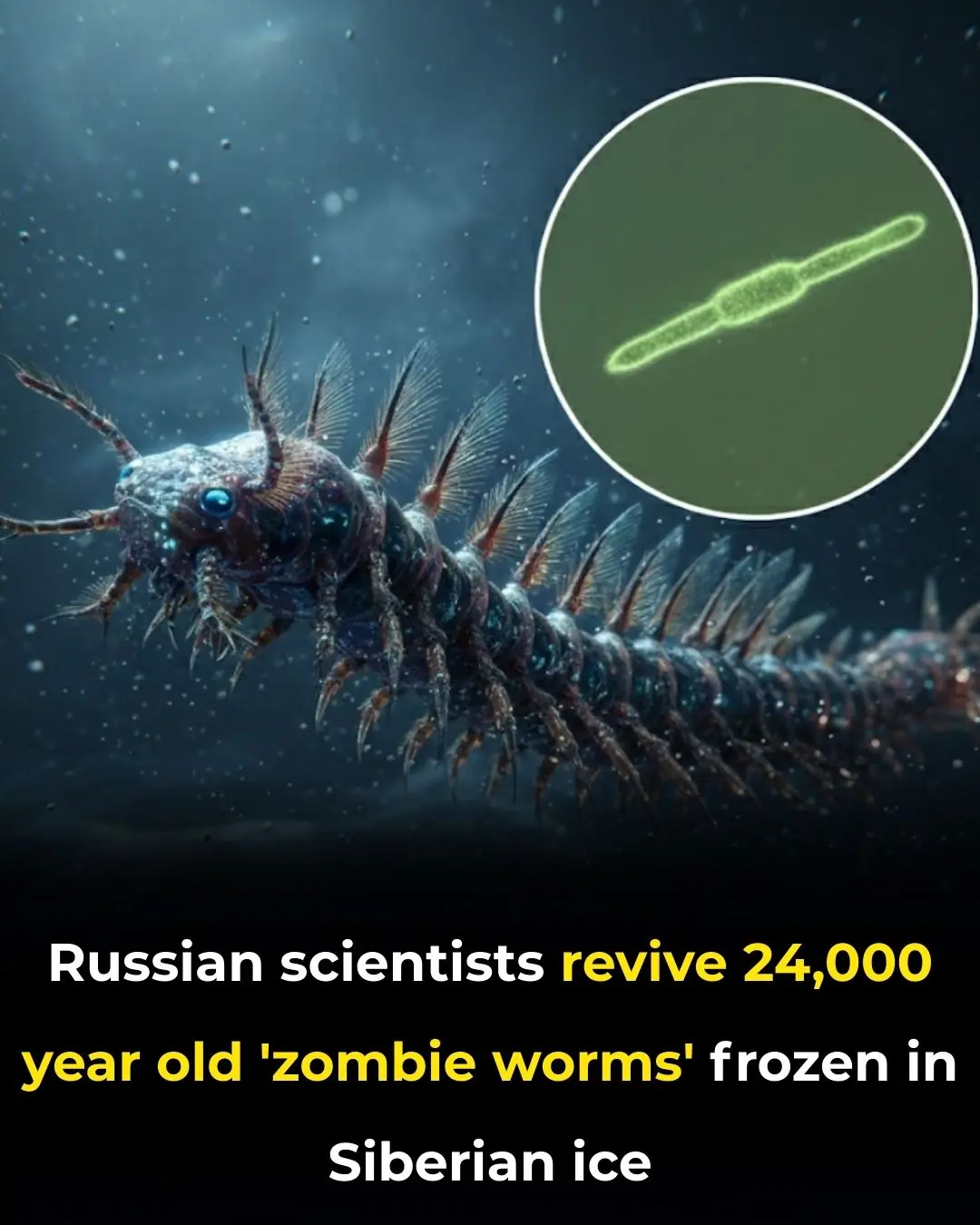 Russian Scientists Revive Ancient Rotifers from Siberian Permafrost: A Breakthrough in Cryobiology