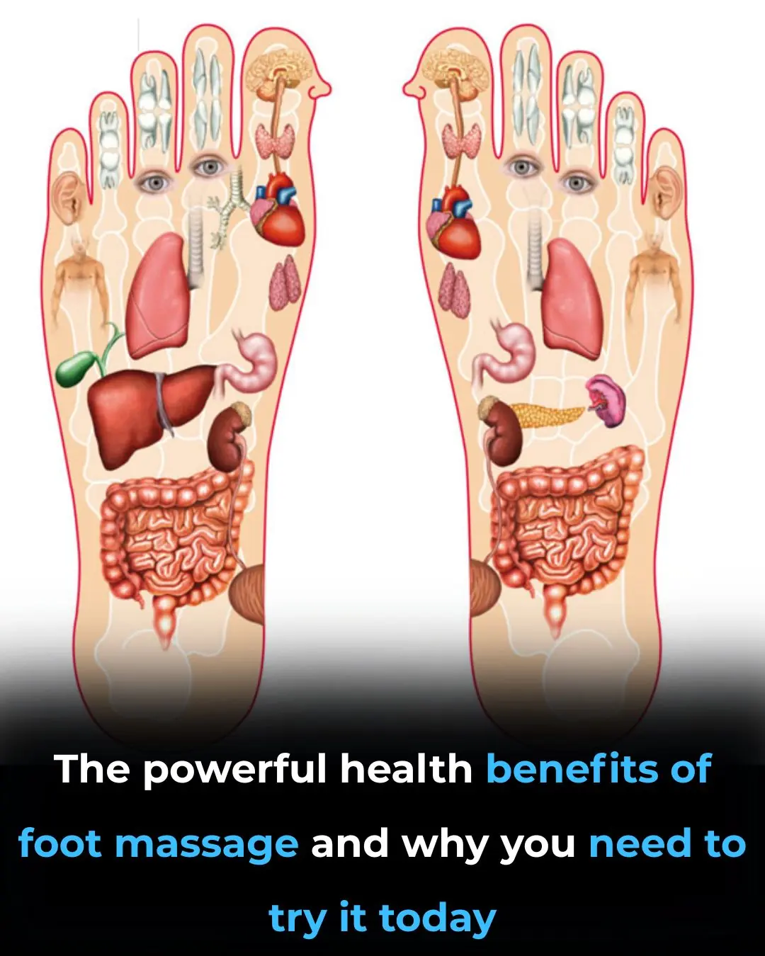 Foot Massage: Proven Health Benefits and How to Give It (Video)