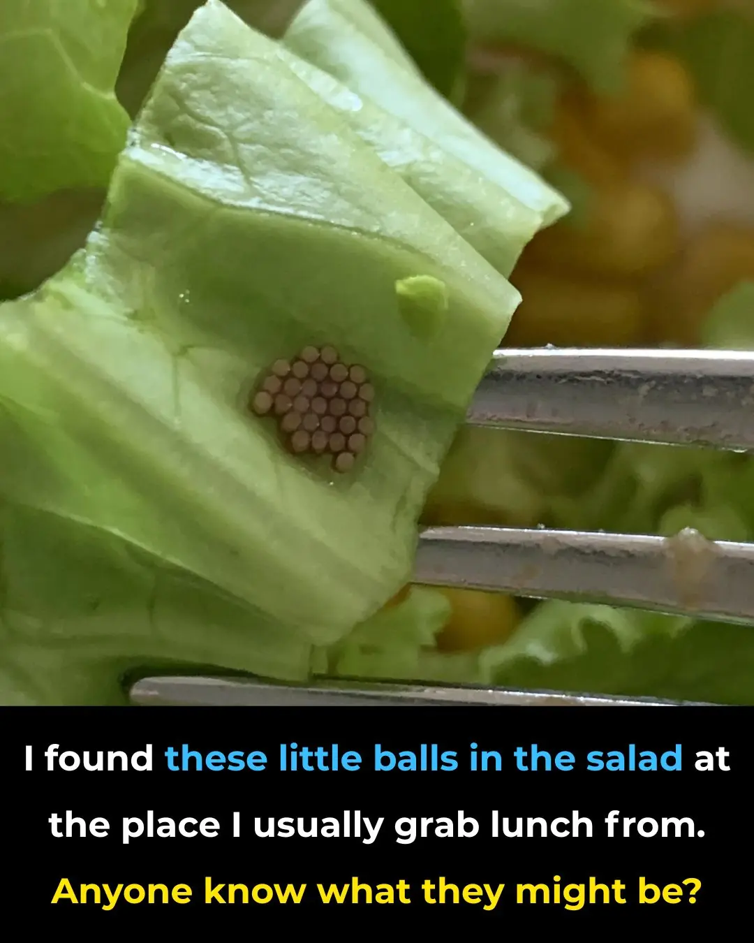 So that's it. And here's the answer.