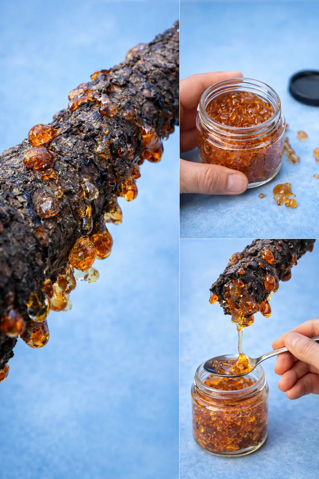 The Power of Peach Tree Resin (Tao Jiao): 15 Surprising Benefits and How to Use It at Home
