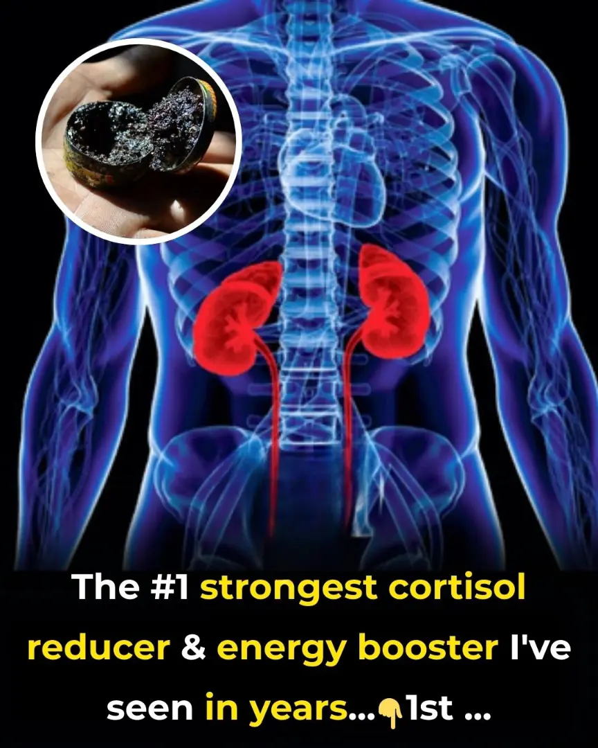 The #1 strongest cortisol reducer and energy booster in years