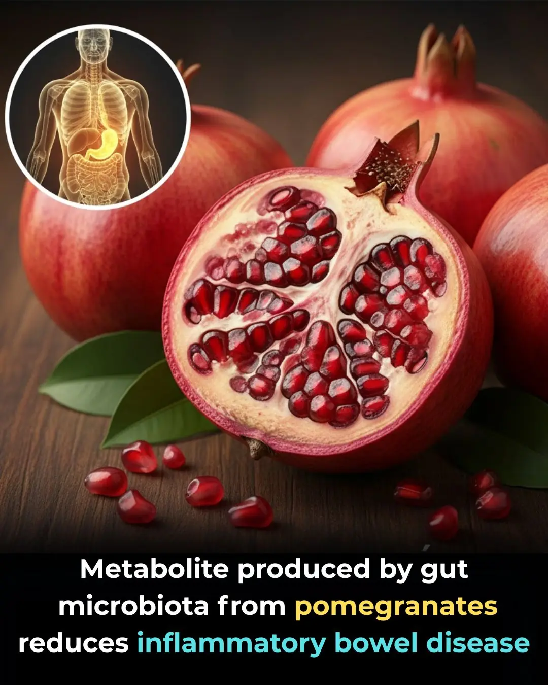 The Role of the Ketogenic Diet in Suppressing Colorectal Tumor Growth through Microbiome Modulation