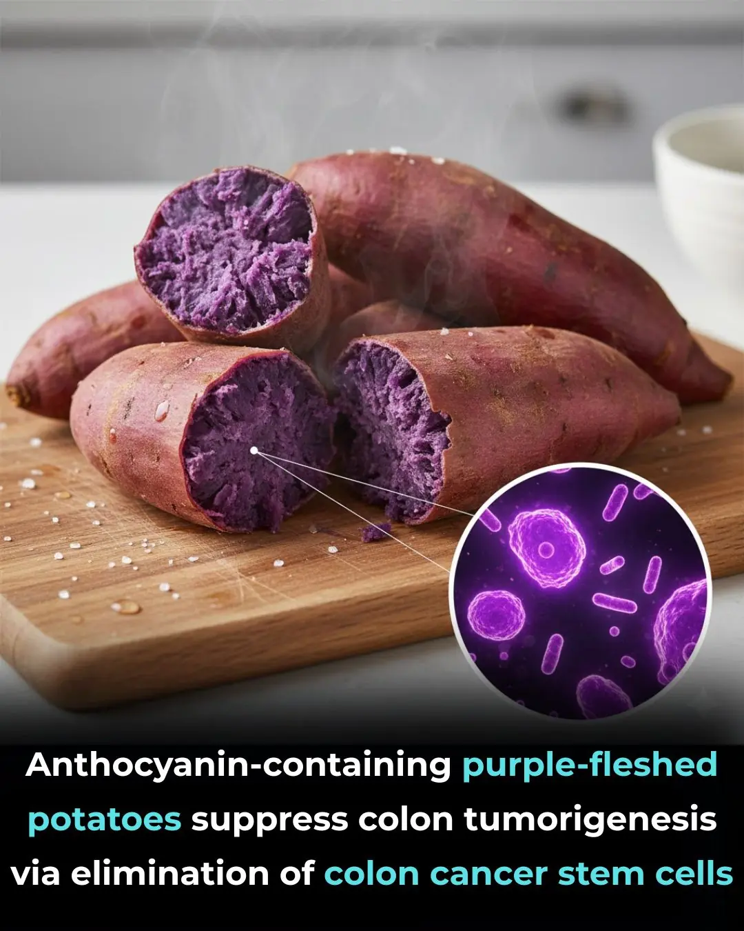 Anthocyanin-containing purple-fleshed potatoes suppress colon tumorigenesis via elimination of colon cancer stem cells