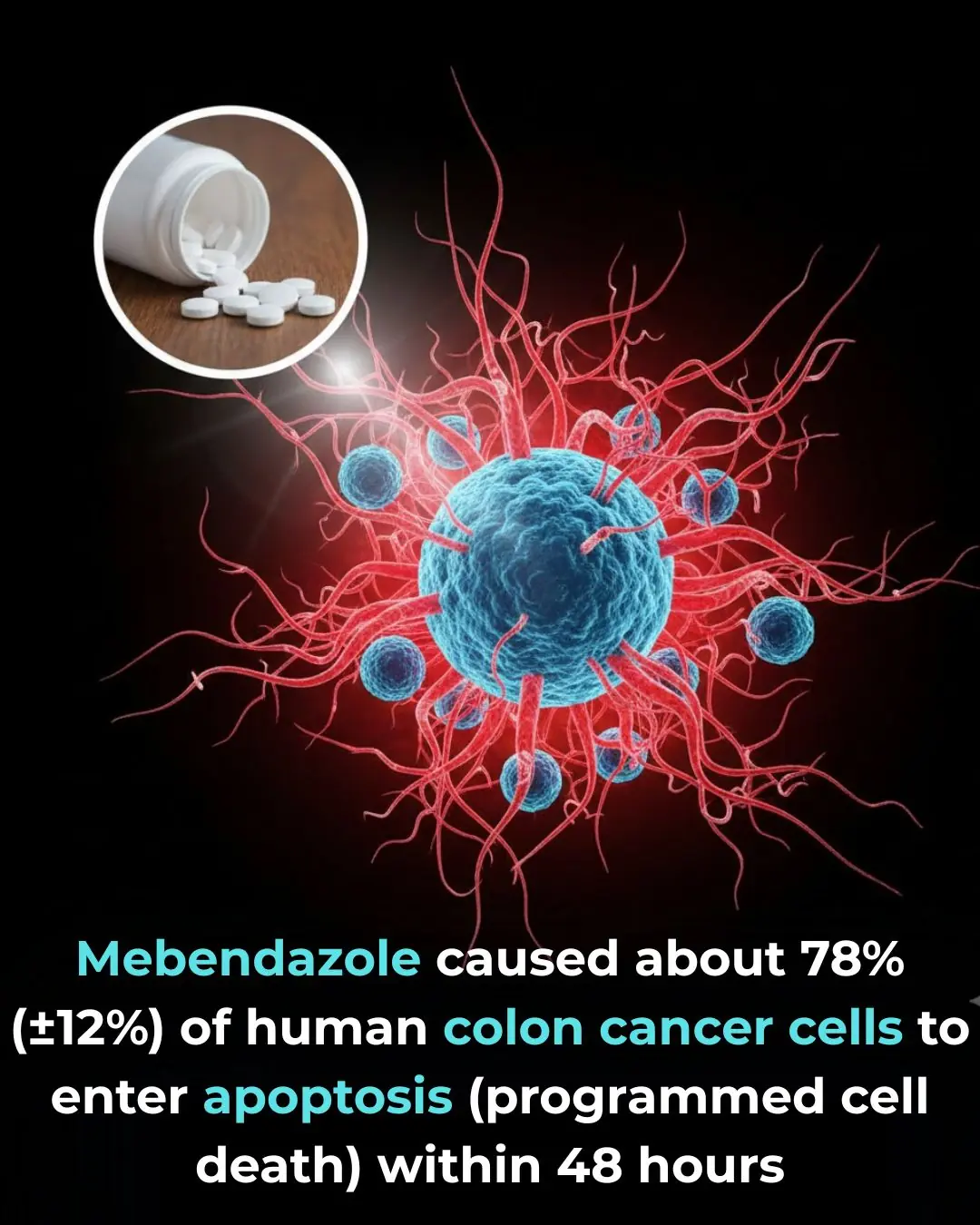 Mebendazole caused about 78% (±12%) of human colon cancer cells to enter apoptosis (programmed cell death) within 48 hours