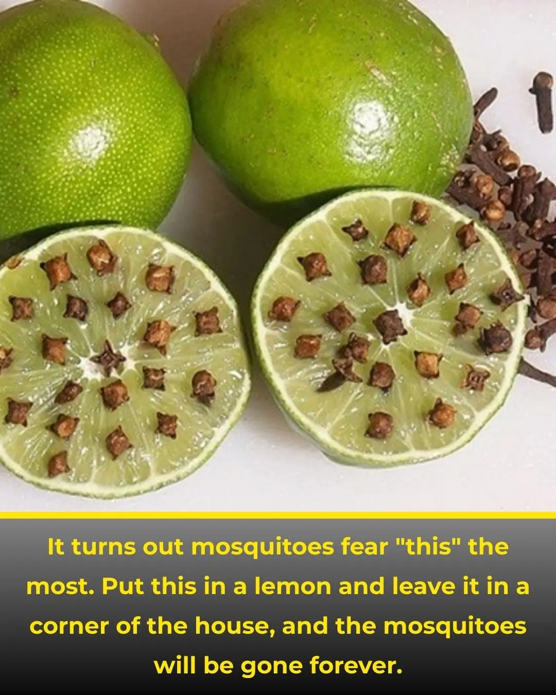 It turns out mosquitoes fear "this" the most. Put this on a lemon and leave it in a corner of the house, and the mosquitoes will be gone forever