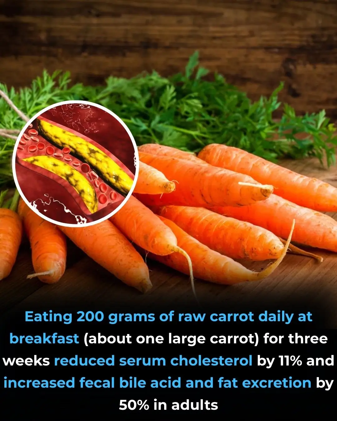 Raw Carrots and Their Impact on Cholesterol and Colon Function