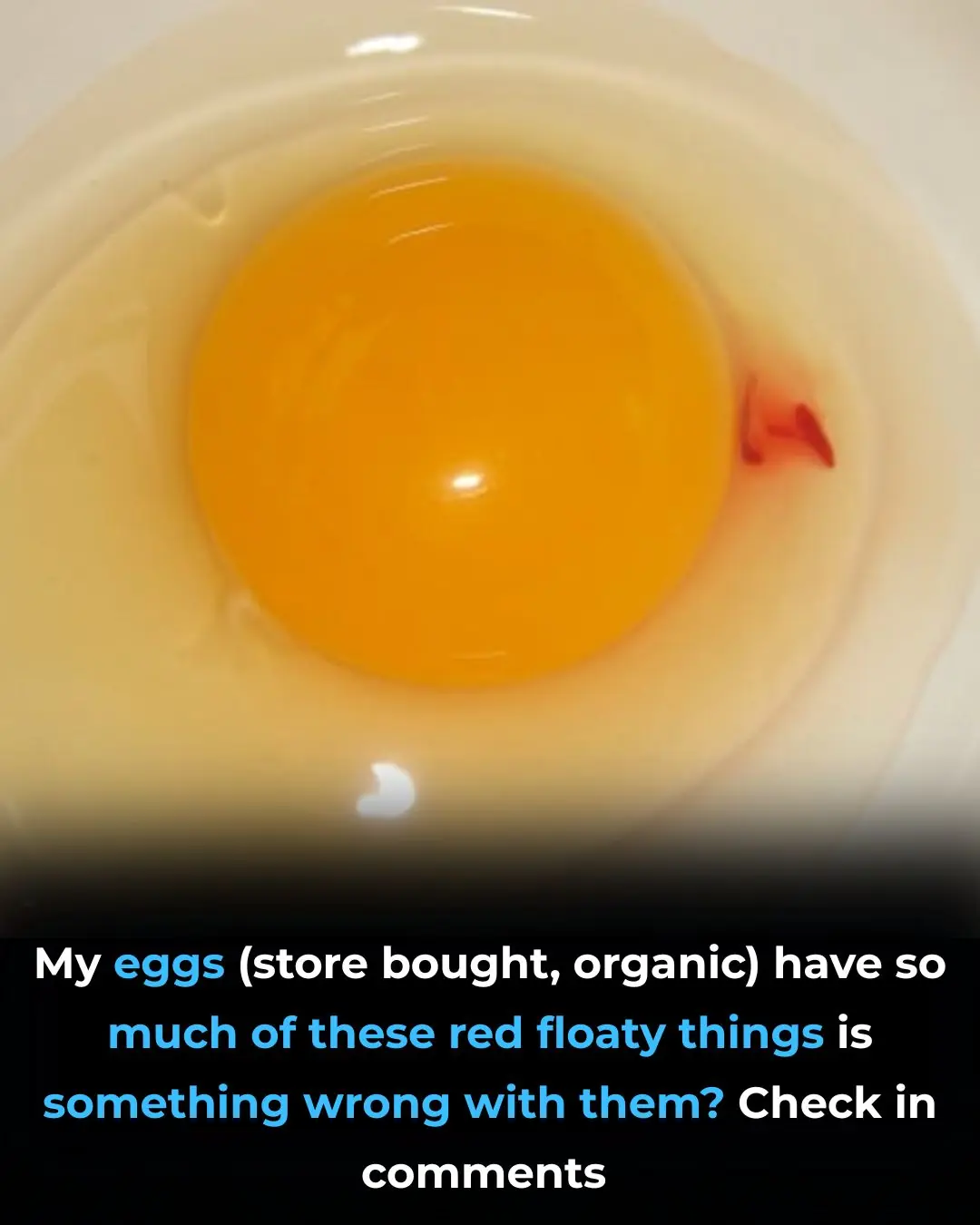 Should We Eat Eggs With BL00D Spots