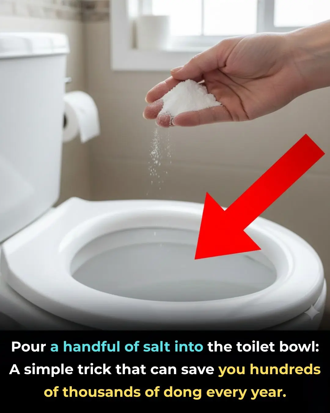 Pour a handful of salt into the toilet bowl