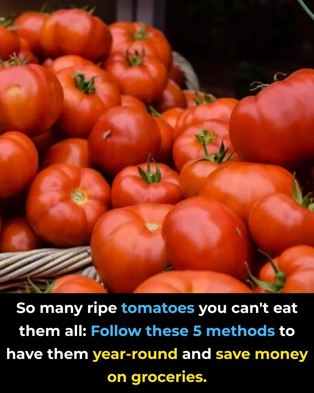 So many ripe tomatoes you can't eat them all: Follow these 5 methods to have them year-round and save money on groceries