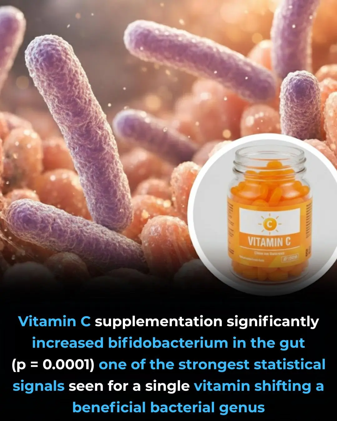 Vitamin C Supplementation and Its Targeted Impact on the Human Gut Microbiome