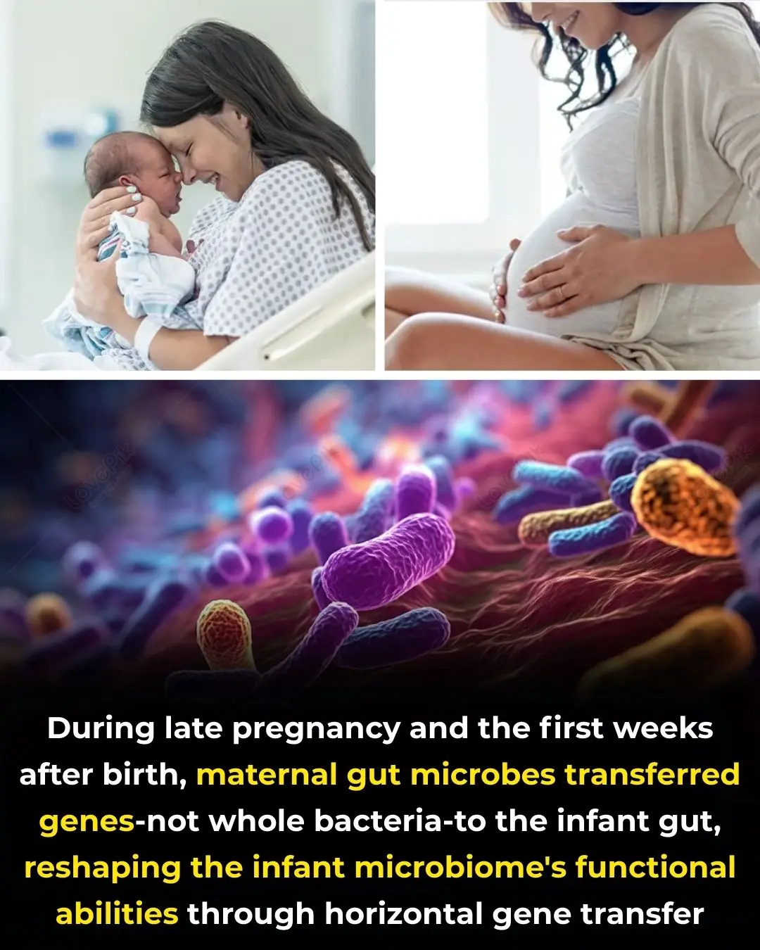 Mother-to-Infant Microbiome Transmission: Beyond Bacteria to Genes