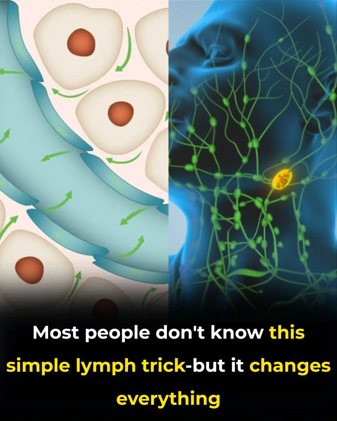 Quickly Drain You Lymph System Using Theses Simple Techniques to Boost Immunity and Remove Toxins