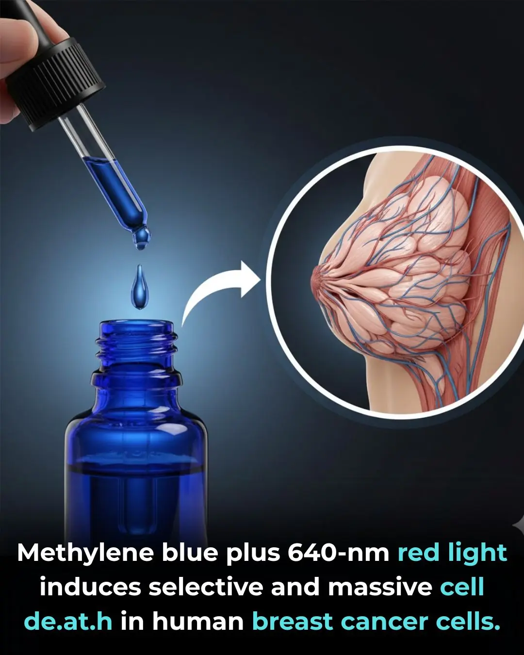 Methylene Blue–Based Photodynamic Therapy as a Selective Strategy Against Breast Cancer Cells