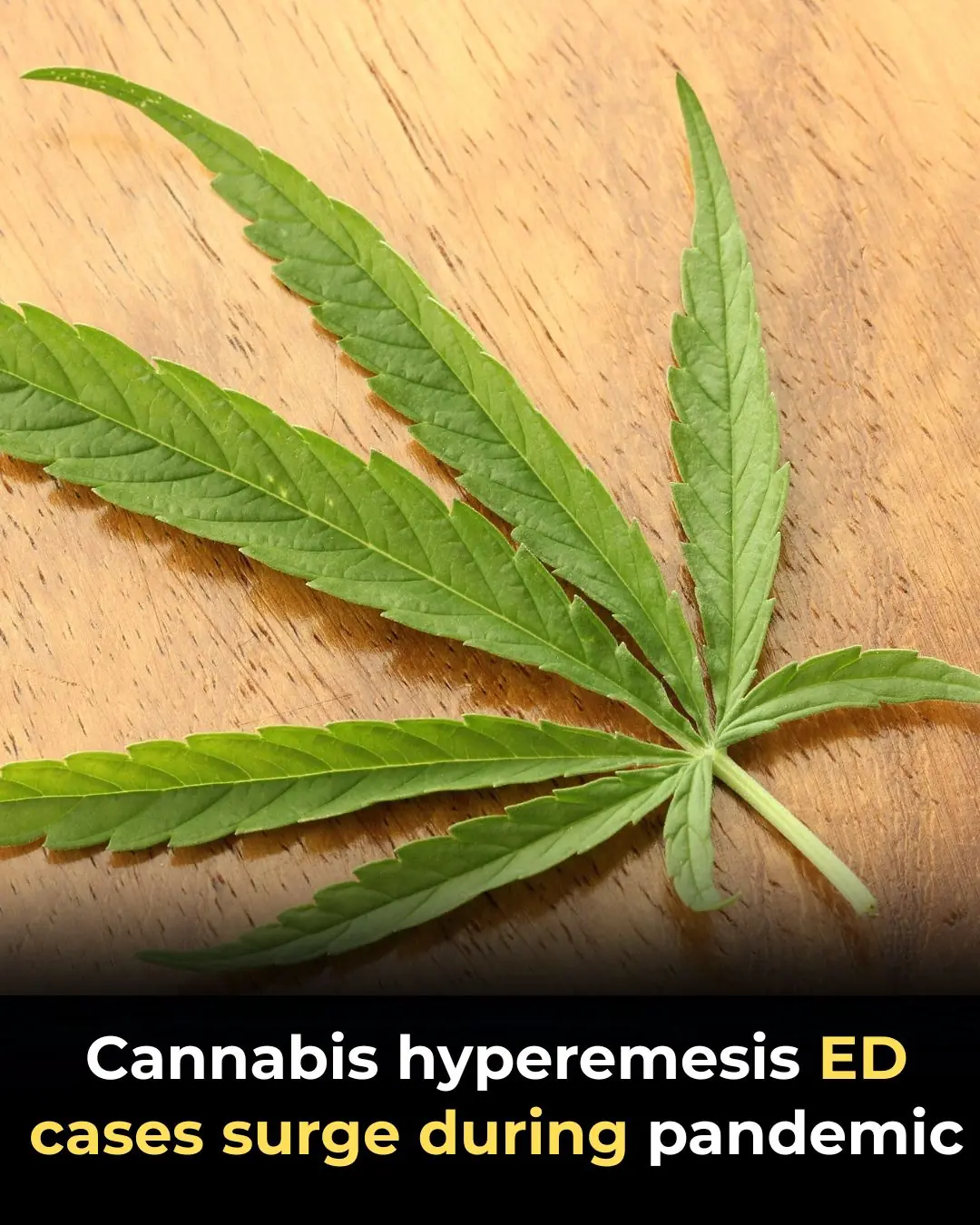 Cannabis Hyperemesis Syndrome: Why Emergency Department Visits Surged During the Pandemic
