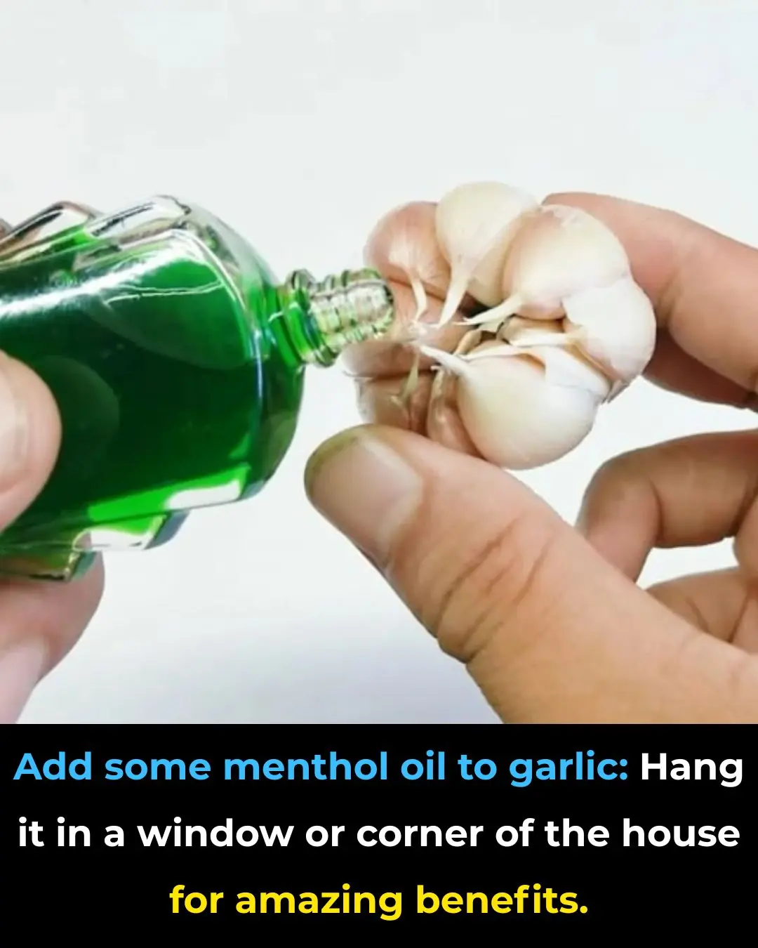 Add some menthol oil to garlic: Hang it in a window or corner of the house for amazing benefits