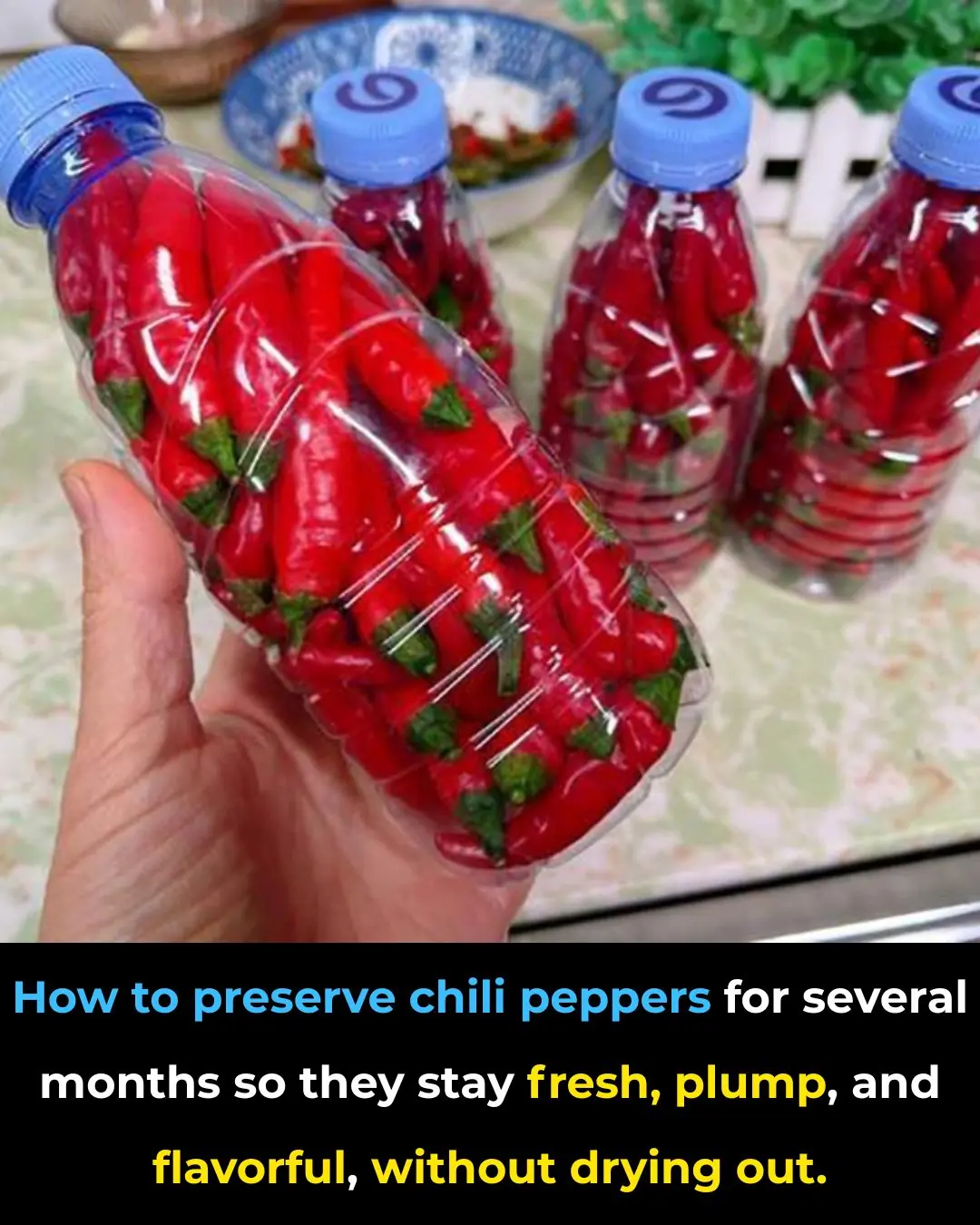 How to preserve chili peppers for several months so they stay fresh, plump, and flavorful, without drying out.