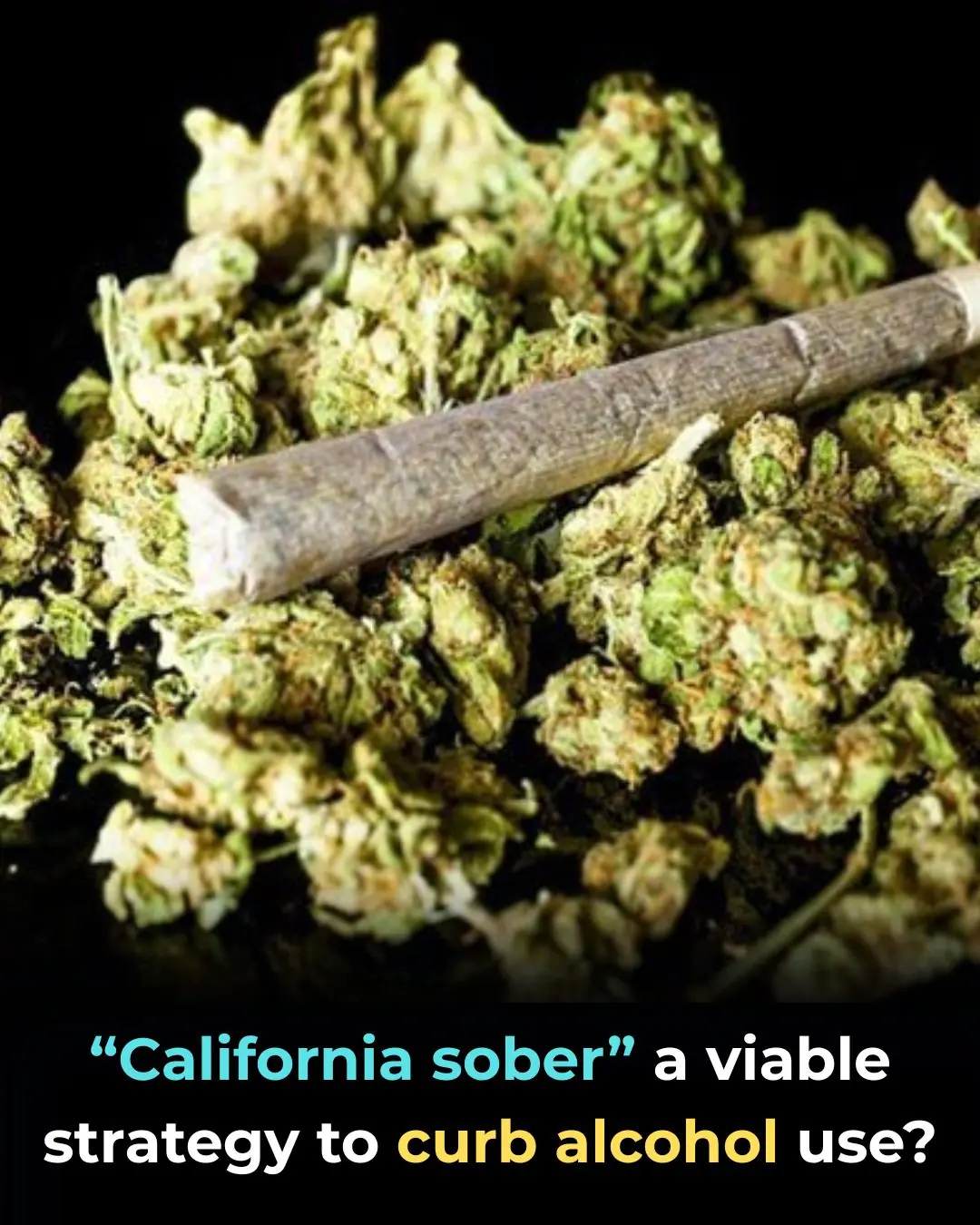 Is “California Sober” a Viable Strategy to Reduce Alcohol Use? New Evidence Offers Support