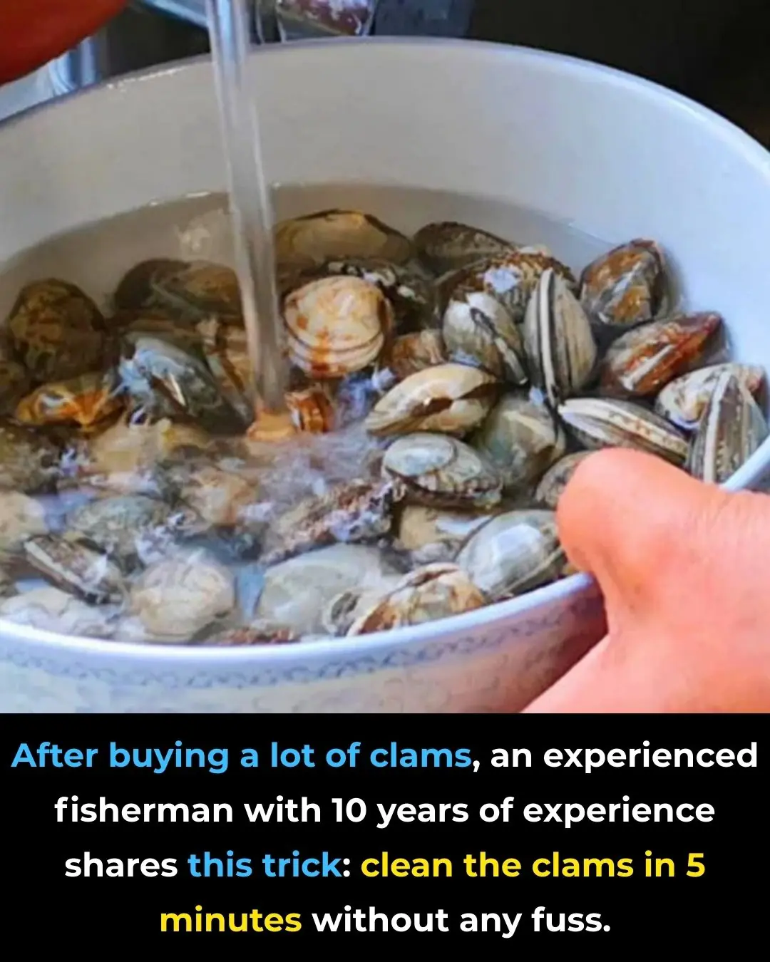 After buying a lot of clams, an experienced fisherman with 10 years of experience shares this trick: clean the clams in 5 minutes without any fuss.