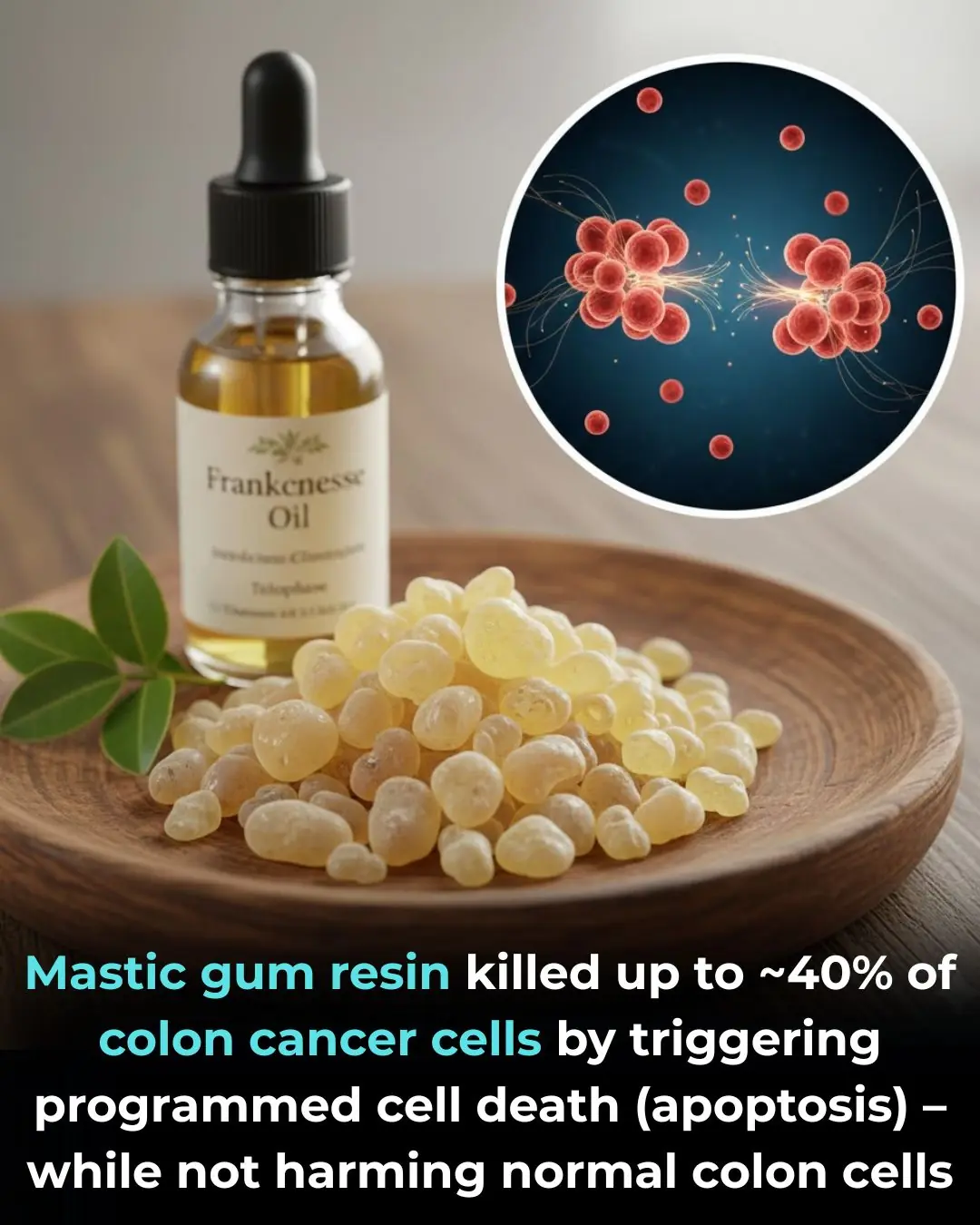 Anticancer Potential of Mastic Gum Resin from Pistacia atlantica: Evidence from In Vitro Colon Cancer Models