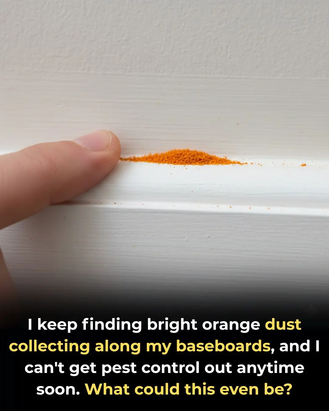I keep finding bright orange dust collecting along my baseboards, and I can’t get pest control out anytime soon. What could this even be?