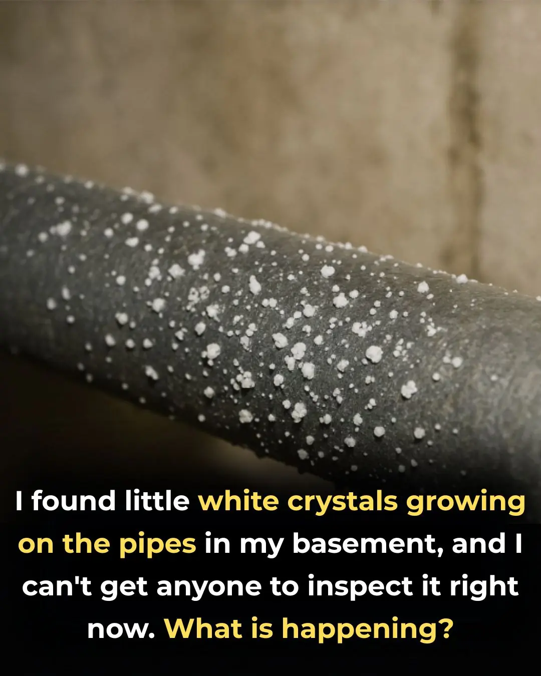 I found little white crystals growing on the pipes in my basement, and I can’t get anyone to inspect it right now. What is happening?