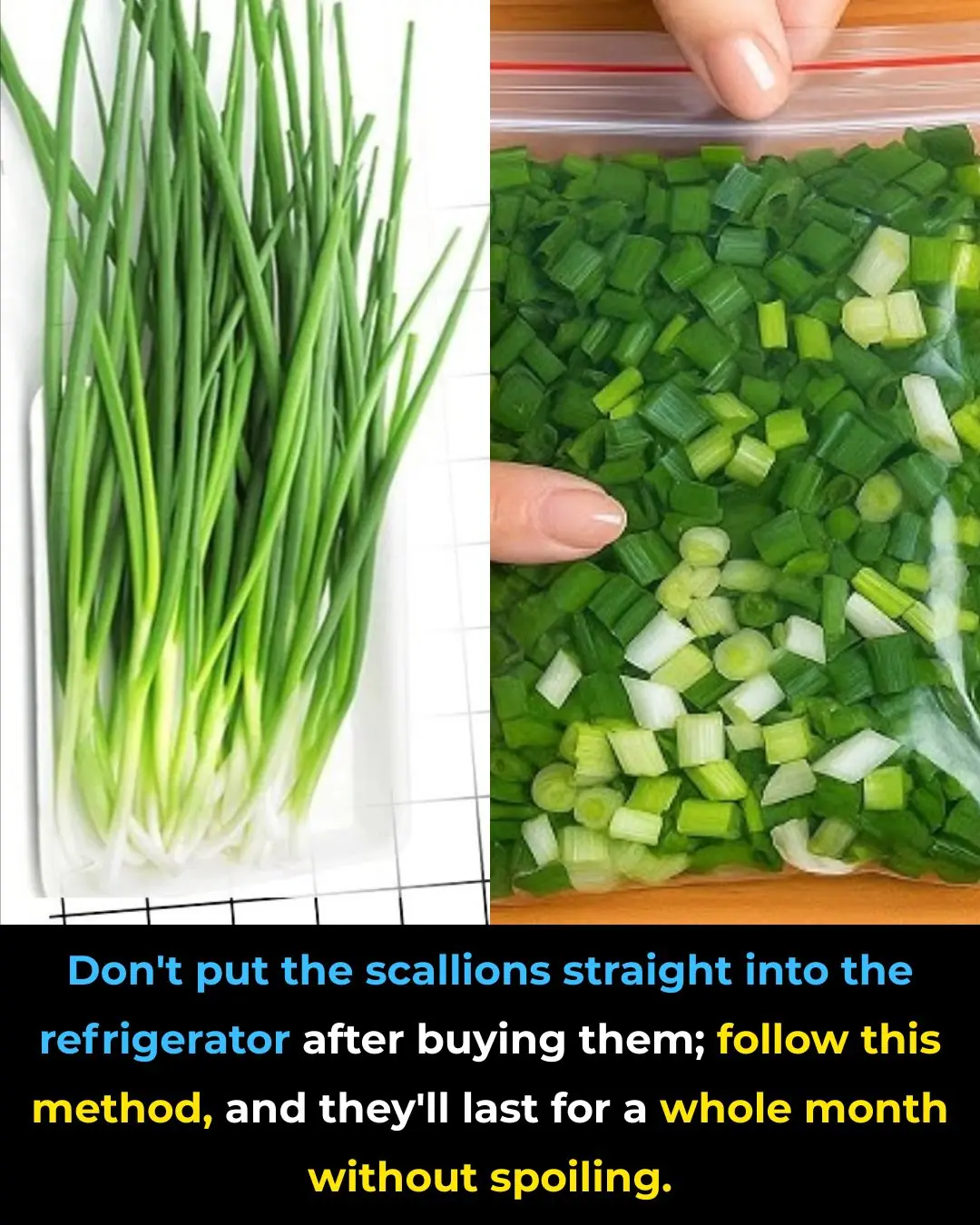 Don't put the scallions straight into the refrigerator after buying them; follow this method, and they'll last for a whole month without spoiling.