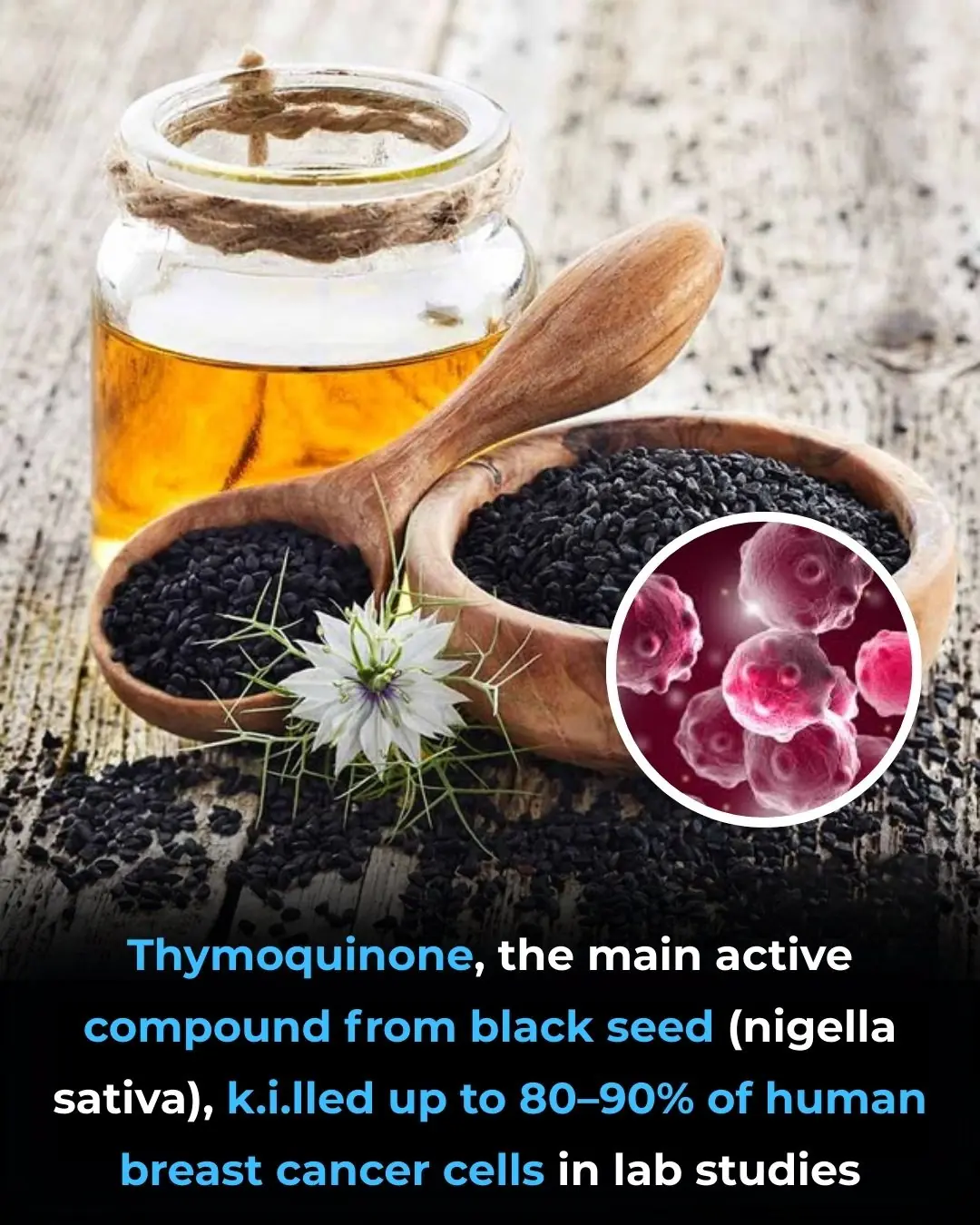 Thymoquinone and Breast Cancer Cell Suppression: Evidence from Preclinical Research