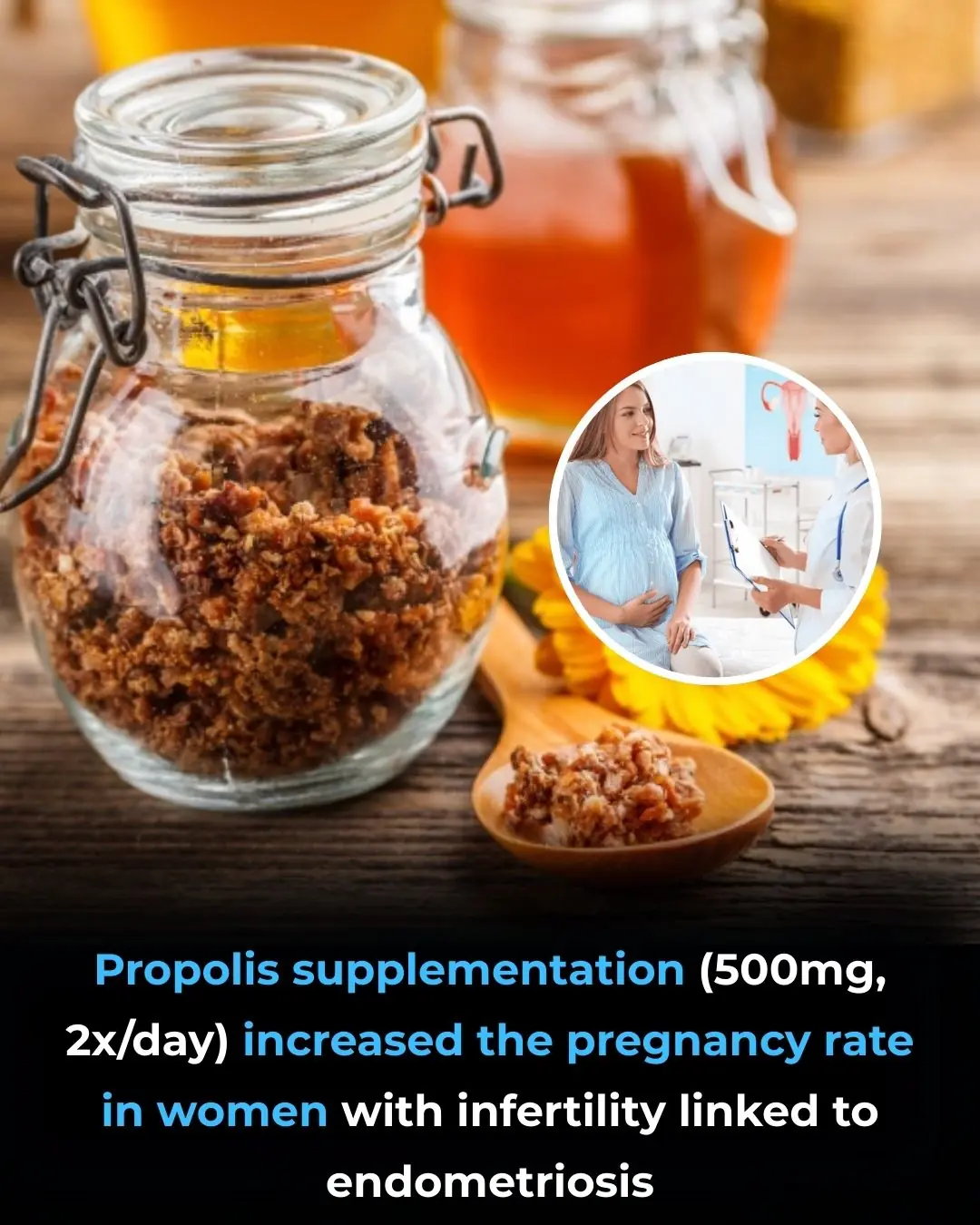 Bee Propolis and Infertility in Endometriosis: Evidence from a Pilot Randomized Clinical Trial