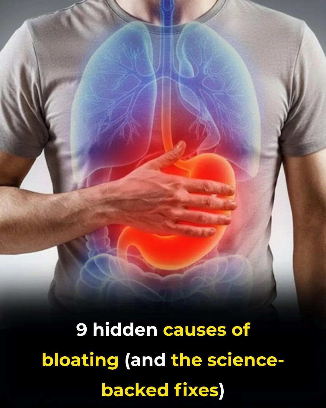 Bloated Stomach: 8 Common Reasons and How to Treat Them (Evidence Based)