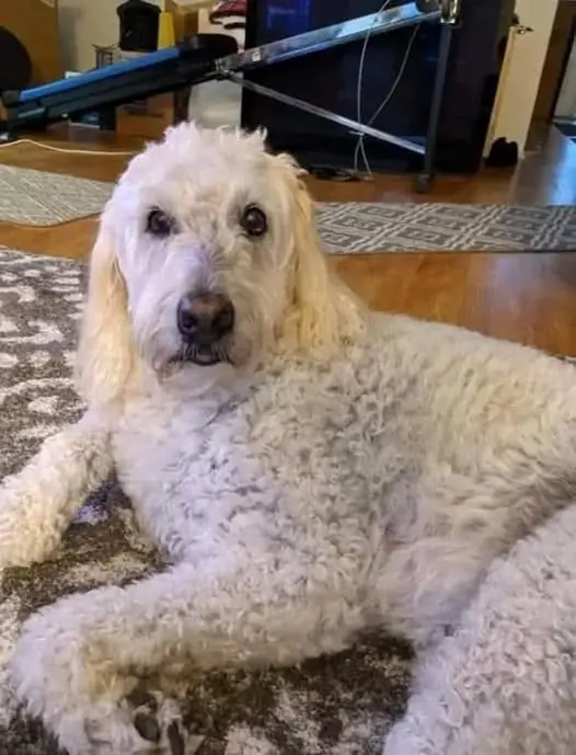 The Bright Spot in the Shadows: A Tribute to Kaydee