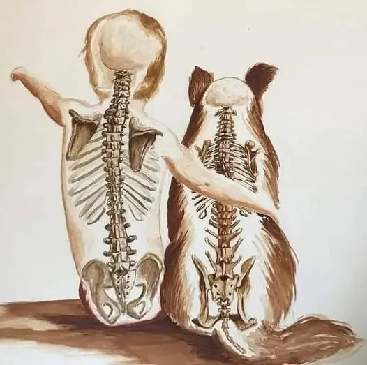 The Wisdom of a Short Life: Why Dogs Leave Us So Soon