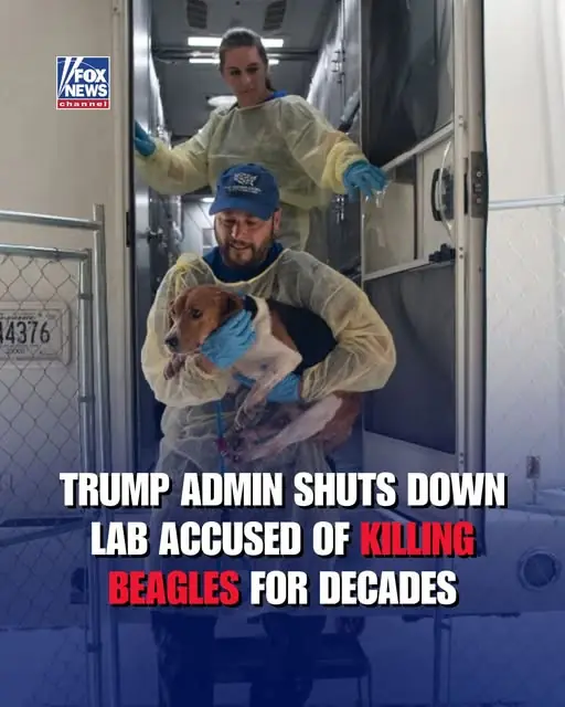 Background of the Controversy