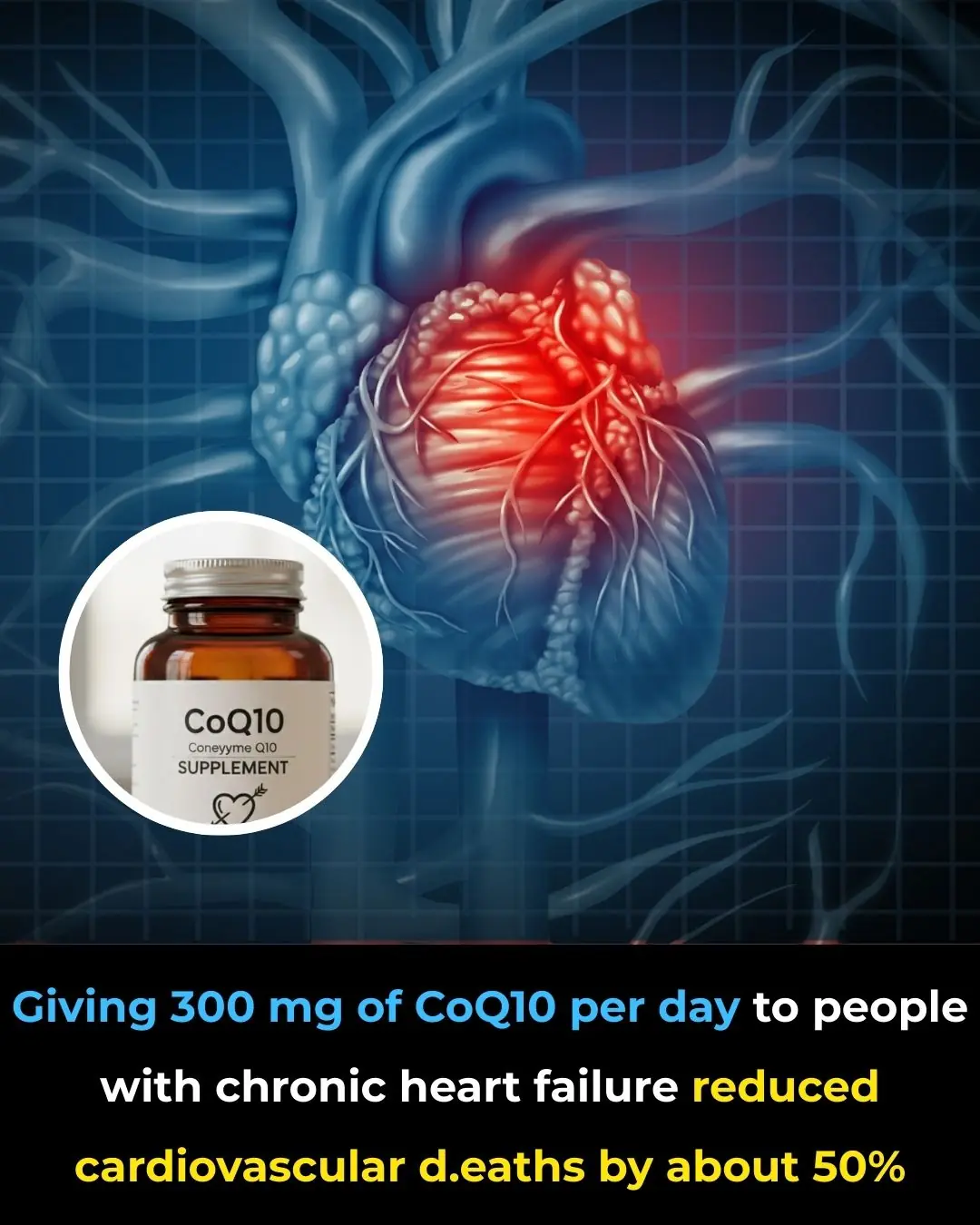 Coenzyme Q10 Supplementation and Survival in Chronic Heart Failure: Evidence from the Q-SYMBIO Trial