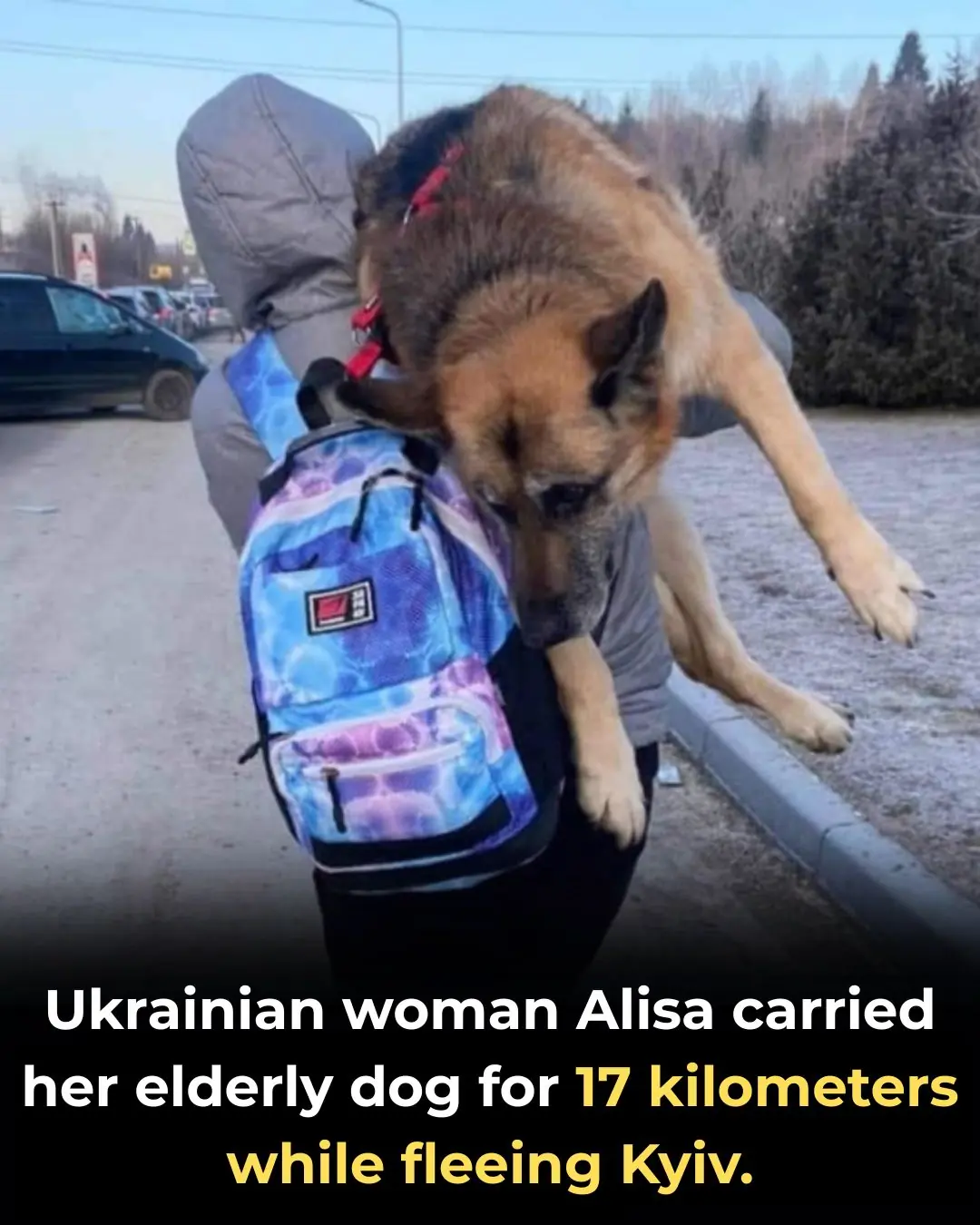 A 17-Kilometer Act of Love: A Ukrainian Woman’s Loyalty During War