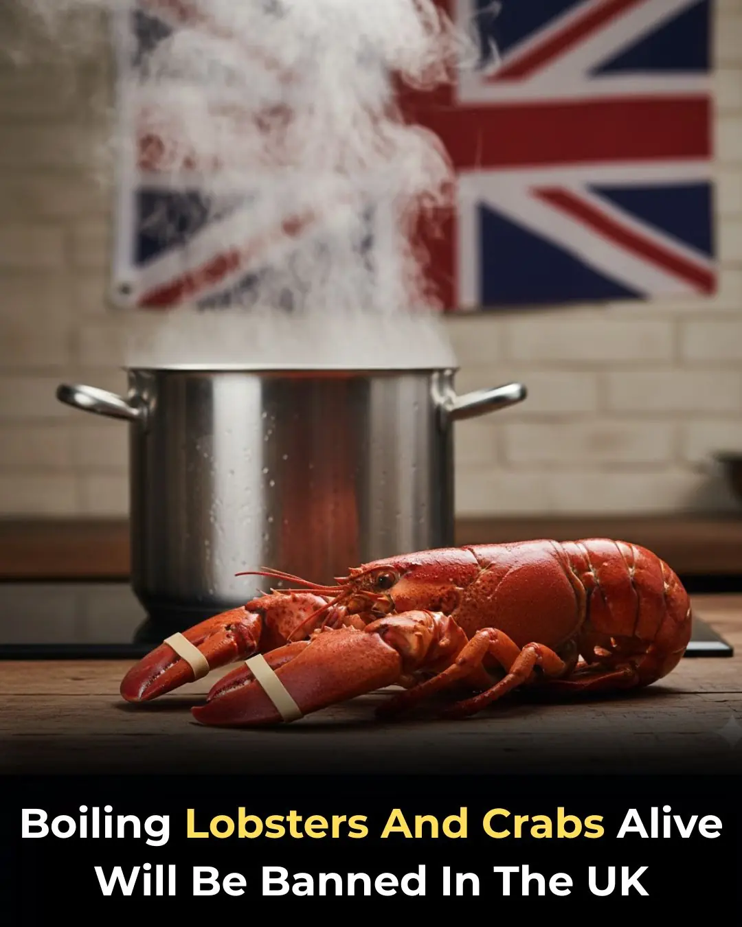 UK Plans to Ban Boiling Lobsters and Crabs Alive in Major Animal Welfare Shift
