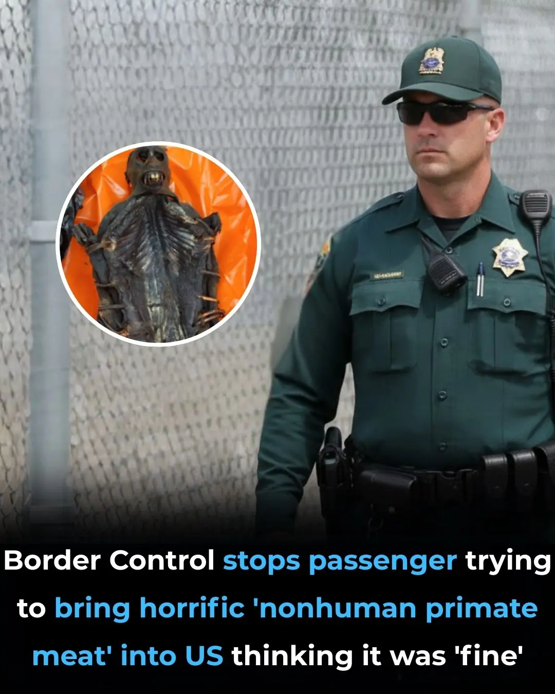 Border Control stops passenger trying to bring horrific 'nonhuman primate meat' into US thinking it was 'fine'