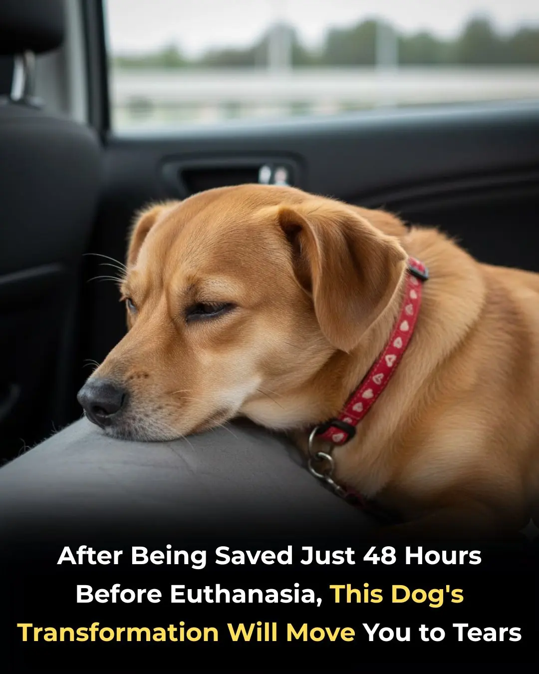 From "Death Row" to a Dignified Life: The Miracle Transformation of Clementine