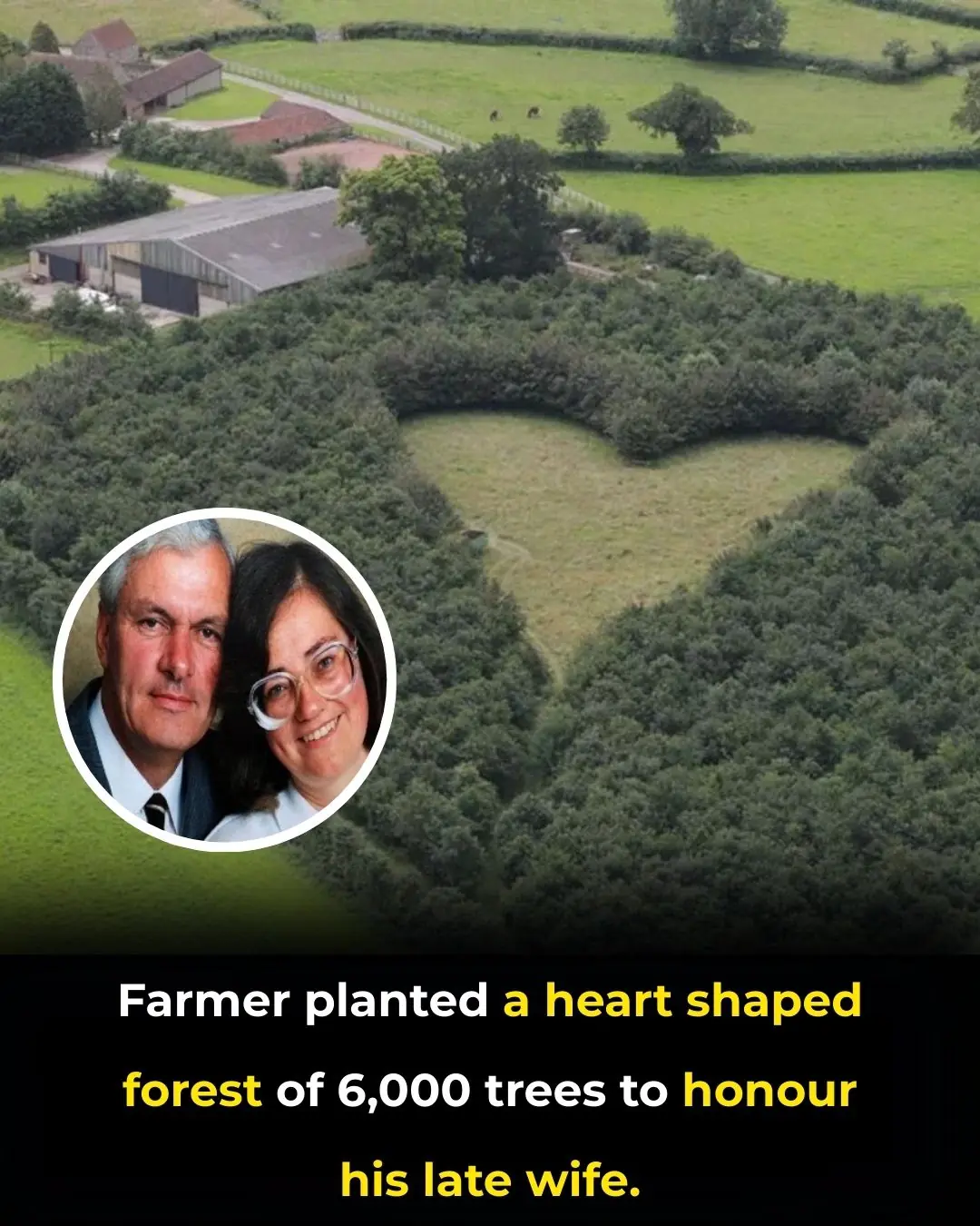 Planting Love That Endures: The Heart-Shaped Forest of Winston Howes