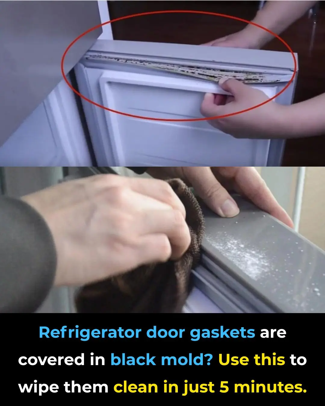 Black Mold on Refrigerator Door Seals? Use This Simple Trick to Clean It in Just 5 Minutes
