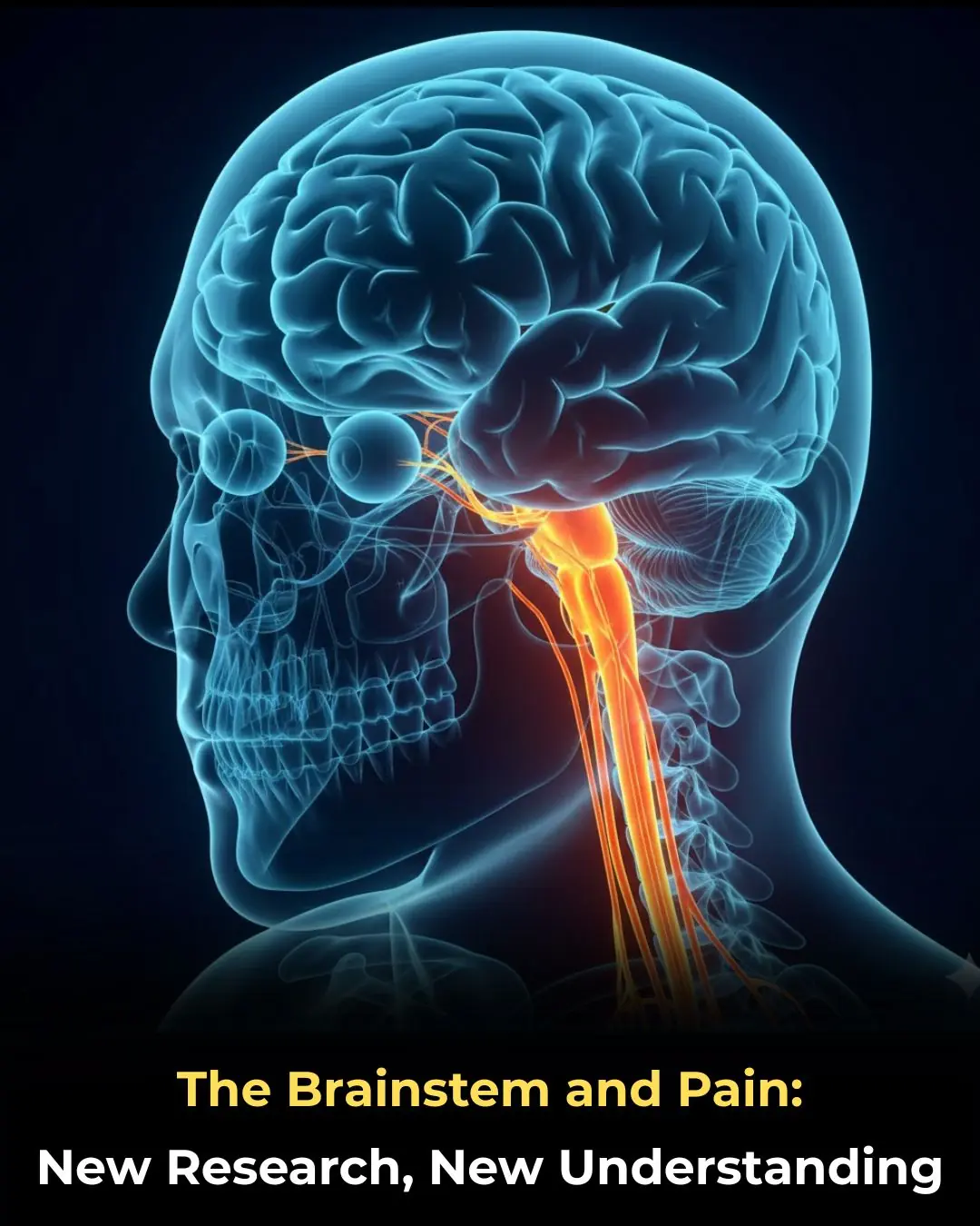 The Brainstem and Pain: New Research, New Understanding
