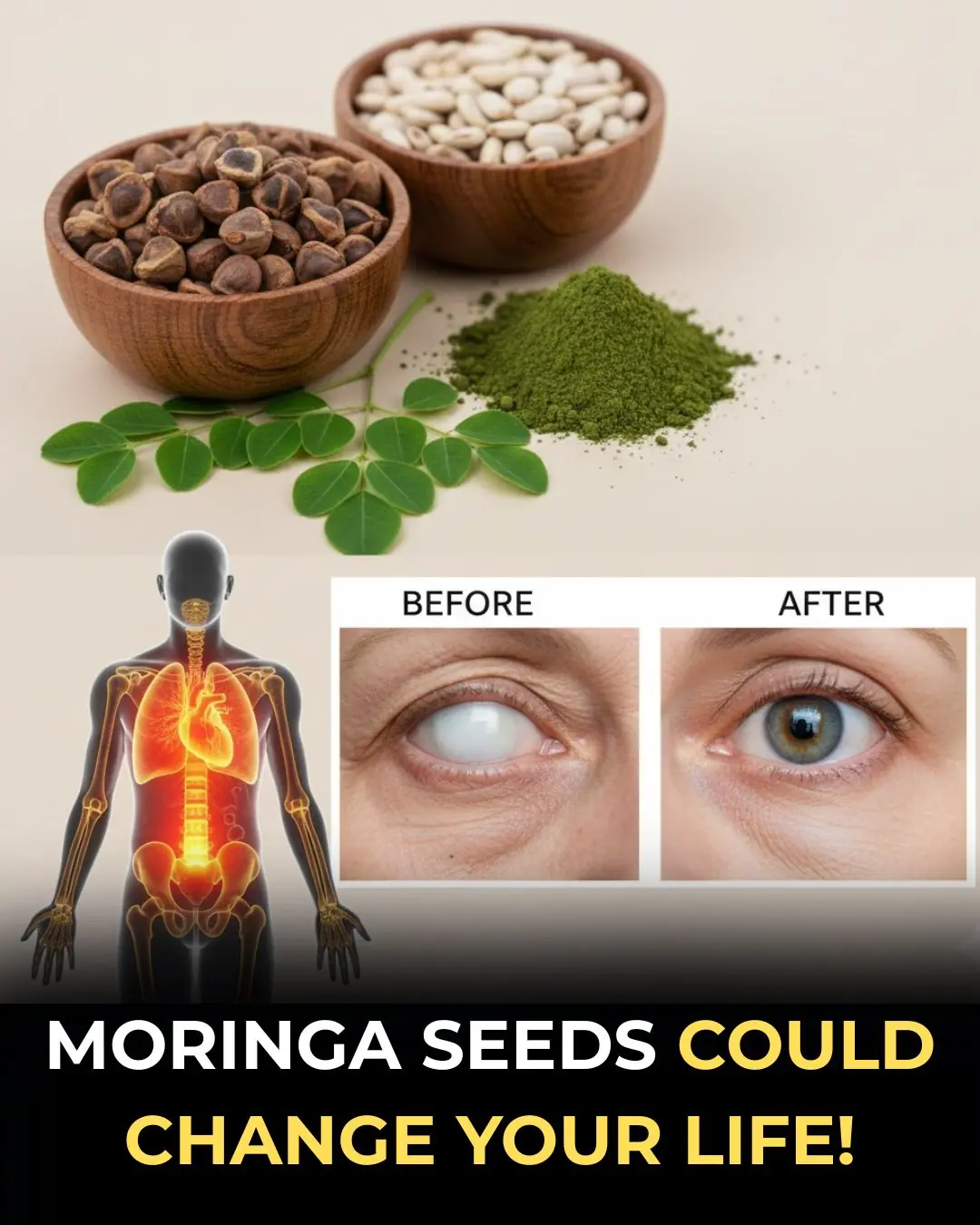 12 Surprising Potential Benefits of Moringa Seeds You Might Not Hear About – But Research Suggests They’re Worth Knowing!