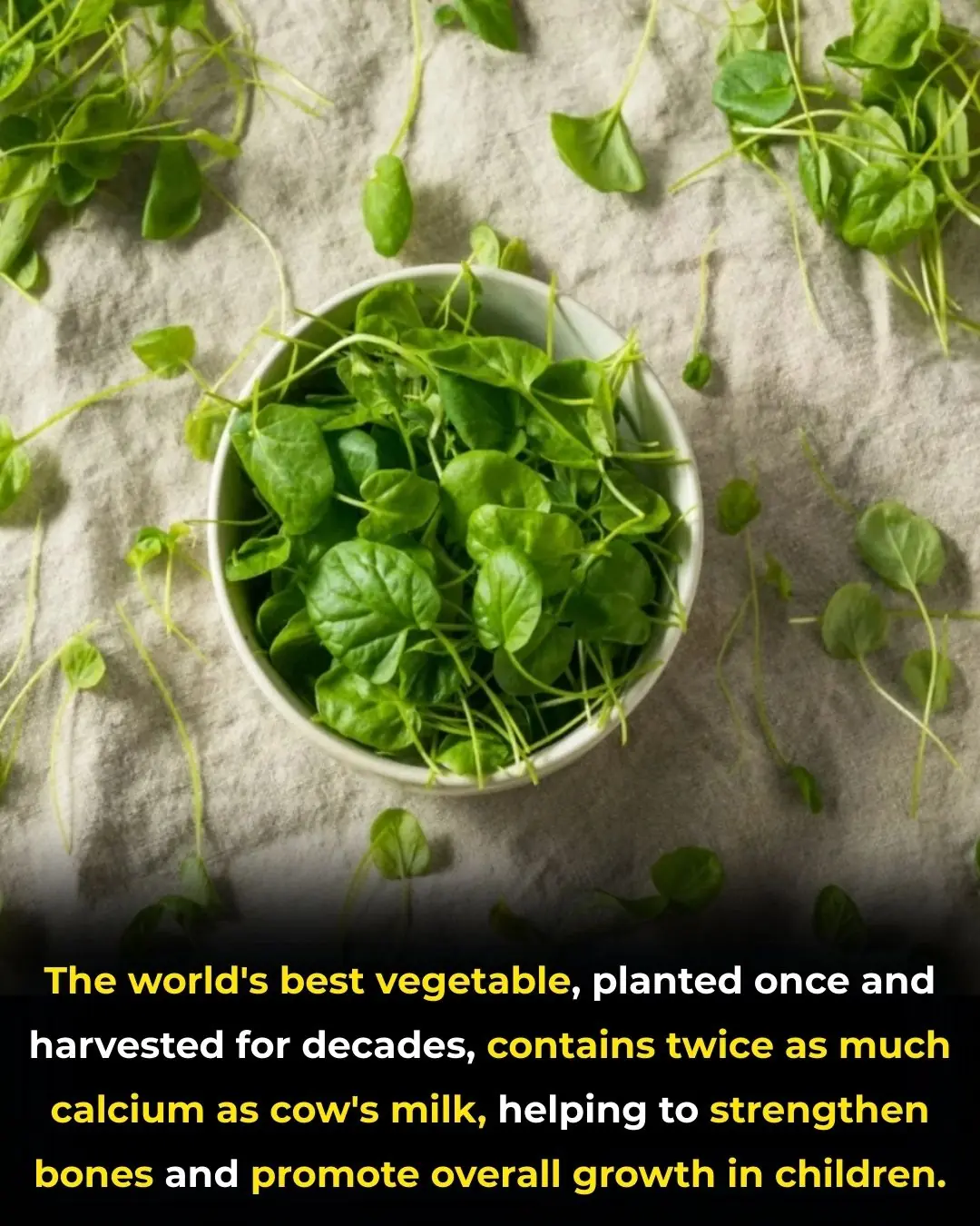 The world's best vegetable, planted once and harvested for decades, contains twice as much calcium as cow's milk, helping to strengthen bones and promote overall growth in children