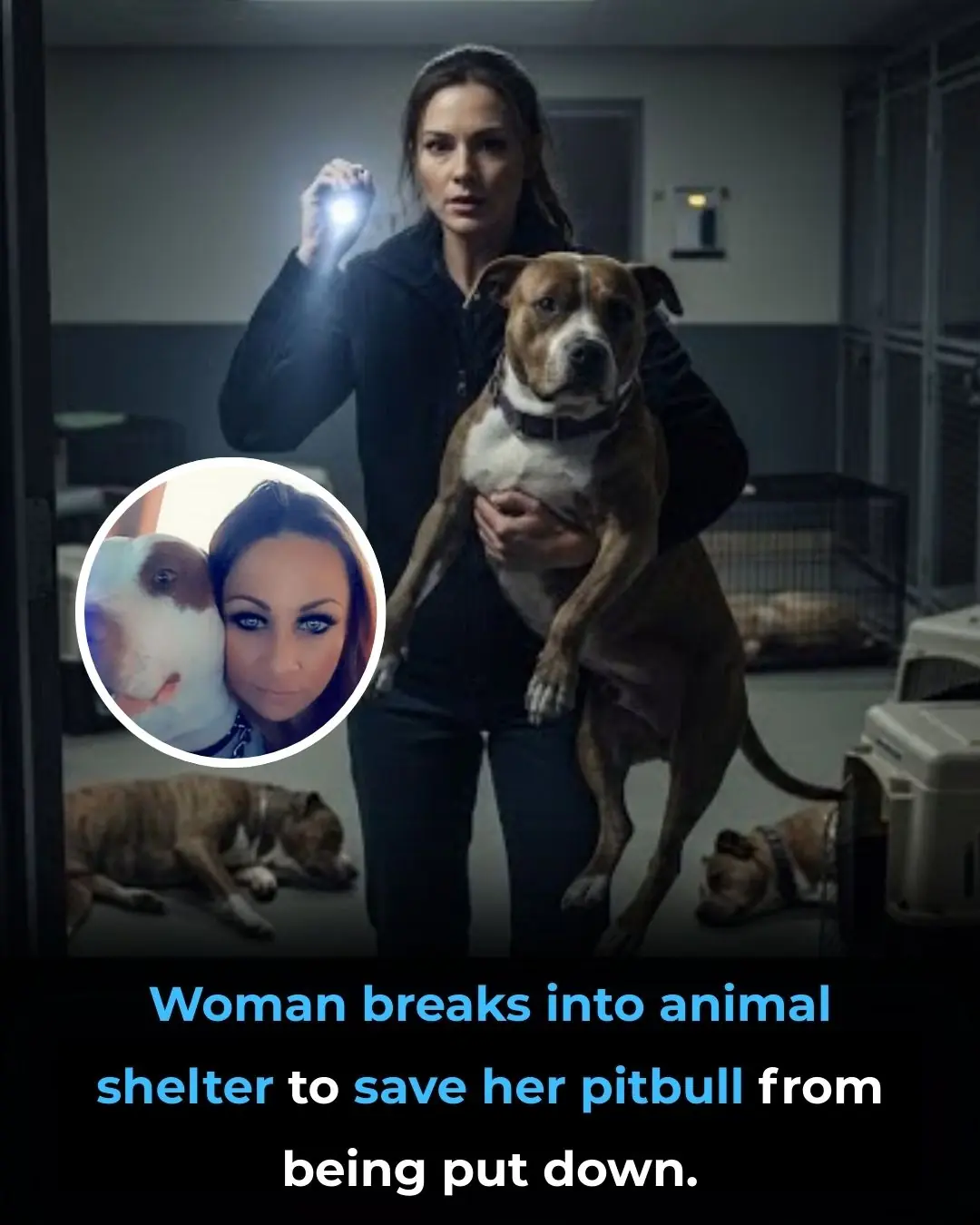 A Woman Risked Everything to Save Her Dog—But Hazel’s Story Ended in Tragedy